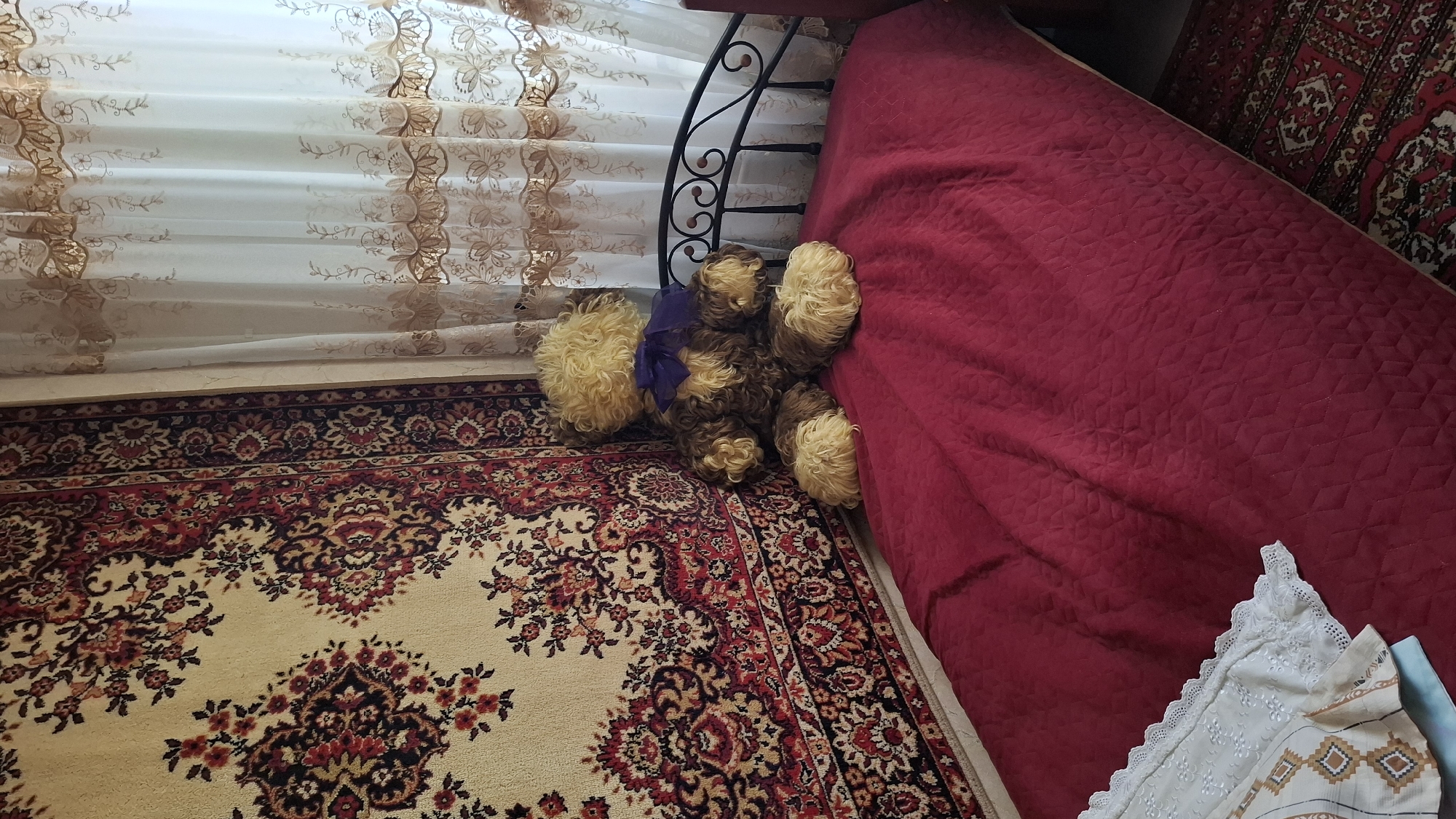 The image depicts an interior scene, likely a bedroom, in Shymkent, Kazakhstan. A large, plush teddy bear with blonde fur and a purple bow tie is seated on a red quilted bedspread. To the left of the bed is a traditional, ornately patterned rug hanging vertically on the wall, displaying intricate floral designs in red, beige, and black. To the right of the bed, sheer white curtains with embroidered gold detailing are visible. The bed itself has a dark metal headboard with decorative scrollwork. In the lower left corner, a corner of a white and beige patterned textile with lace trim is visible, possibly a pillowcase or sheet. A portion of another oriental-style rug is visible on the floor in the lower right. The lighting suggests a daytime scene, with light filtering through the curtains.