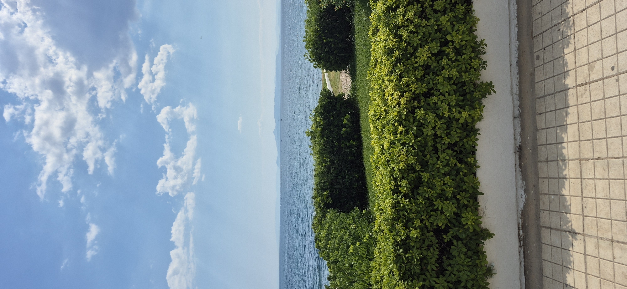This is a landscape photograph taken from a walkway overlooking a body of water. The image is oriented vertically, showing a view of the sea on the left and a paved walkway with a manicured hedge on the right.
The left side of the image is dominated by a bright blue sky with scattered white clouds. Sunlight streams through the clouds, creating visible rays. The sea is calm and a deep blue, with faint ripples on its surface. In the distance, a hazy coastline or mountain range is visible, with a few small boats or buoys dotting the water.
On the right side of the image, a well-maintained hedge runs along the edge of the walkway. The hedge is dense and vibrant green, with lighter green foliage in the foreground and darker green in the background. The walkway itself is paved with light-colored square tiles, and the shadow of the hedge falls across it. A low white wall separates the hedge from the walkway.
The scene suggests a pleasant day, likely in the late morning or early afternoon given the bright sunlight and clear skies. The location appears to be a coastal promenade or park in Paleo Faliro, Greece, offering a serene view of the sea and a well-kept urban landscape. There is no text visible in the image. The overall mood is peaceful and tranquil.