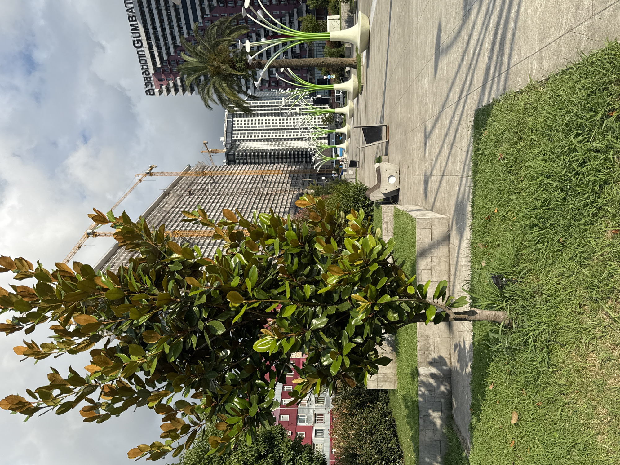 The image shows a tree in the foreground, with buildings and construction cranes in the background. The buildings are modern, with balconies and large windows. One building has the text "GUMBATI" in large letters. The construction cranes suggest ongoing development. The foreground features a paved walkway with unique, futuristic-looking streetlights. There are also benches and trash receptacles along the walkway. The area appears to be a public space, possibly a park or plaza, in Batumi, Georgia. The sky is cloudy, and the sun is casting shadows.