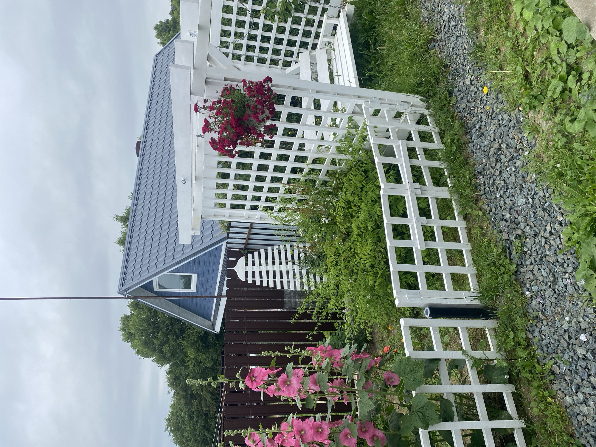 The image depicts a residential yard in Tret’ya Pad’, Russia, under an overcast sky. The scene is dominated by a blue-sided house with a gray, pitched roof, situated behind a dark brown wooden fence. In the foreground, a white lattice fence encloses a garden area featuring tall pink hollyhock flowers on the left. To the right, a white wooden pergola structure supports a hanging basket of red flowers and a white swing bench. Greenery, including bushes and grass, is abundant throughout the yard, with a gravel path leading into the scene from the lower right corner.