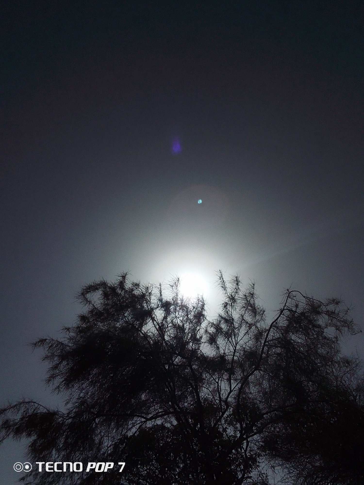 The image shows a silhouette of a tree against a bright, obscured light source, possibly the sun. The sky is a uniform grey. There is a lens flare above the light source. The lower left corner of the image has the text "TECNO POP 7". The location of Altagracia, Venezuela is not apparent from the image content. There are no people, interactions, or actions visible.