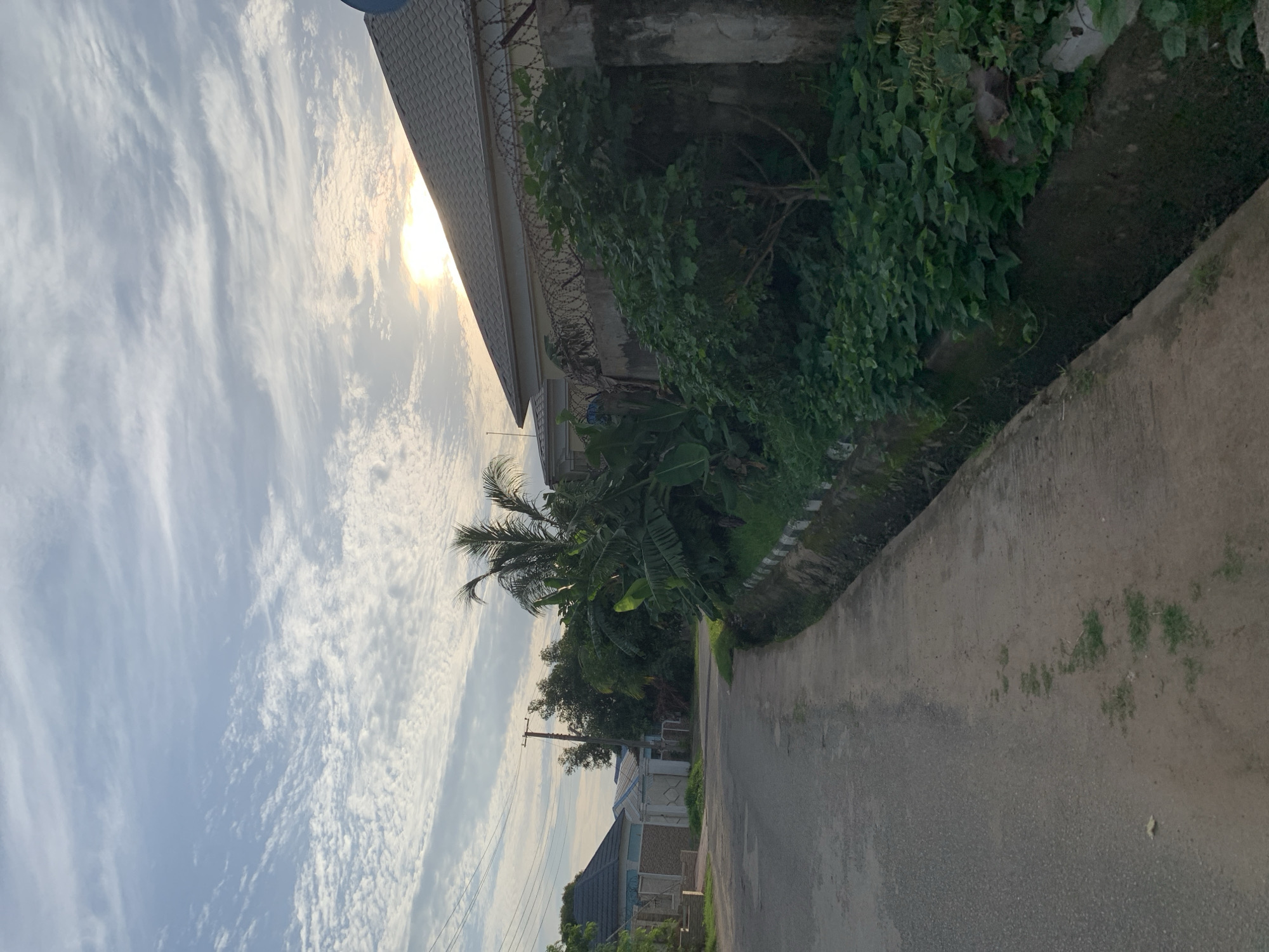 The image depicts a street scene in Abuja, Nigeria, likely during the late afternoon or early morning given the low angle of the sun. A paved road curves to the left, with a concrete drainage channel running alongside its right edge. Dense green foliage, including banana plants and other lush vegetation, overgrows the drainage channel and climbs a concrete wall topped with barbed wire.
In the background, a modern residential building with a tiled roof is visible, partially obscured by trees and foliage. Across the street, other houses with tiled roofs and fences can be seen, suggesting a residential neighborhood. Overhead, a sky filled with wispy white clouds streaks across a pale blue expanse, with the sun peeking through, casting a gentle light. A utility pole with wires stands in the mid-ground to the left. The overall atmosphere is calm and suburban.