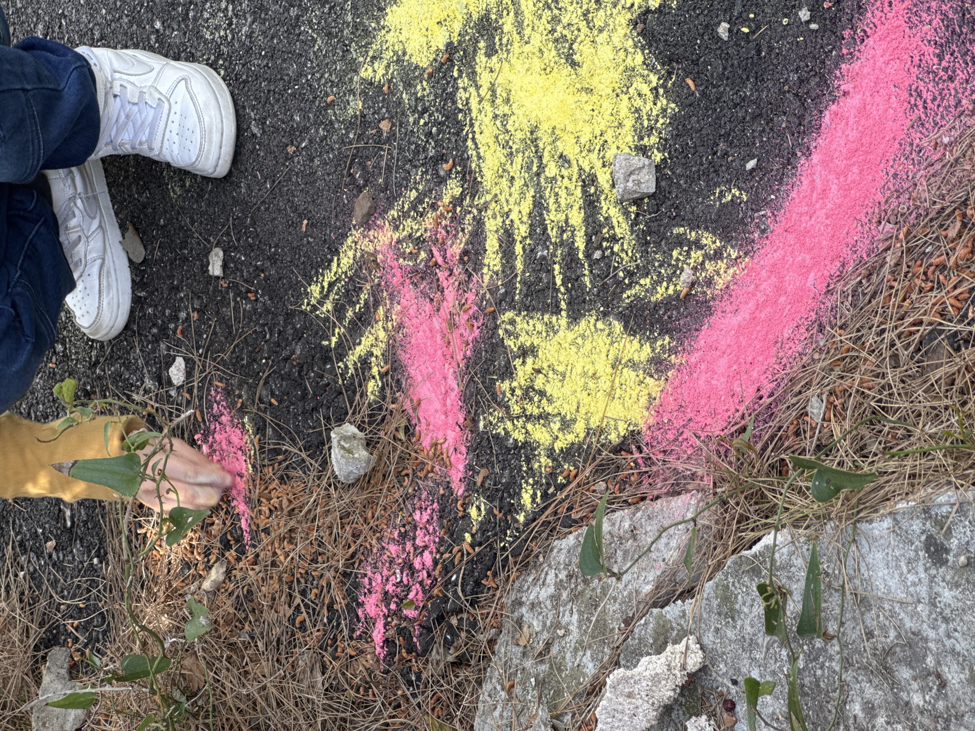 A close-up shot focuses on an asphalt surface partly covered with pink and yellow chalk markings. The chalk is scattered and somewhat diluted, as if partially washed away. To the left, a person wearing white sneakers and blue jeans stands. Their hand, clad in a yellow sleeve, is reaching towards a patch of dry leaves and a crawling plant with green leaves. A few scattered rocks are also visible amidst the chalk and foliage. The environment appears to be a street edge or a neglected outdoor area. The photo could be in a city like Šušanj, Montenegro, but that is not visible.