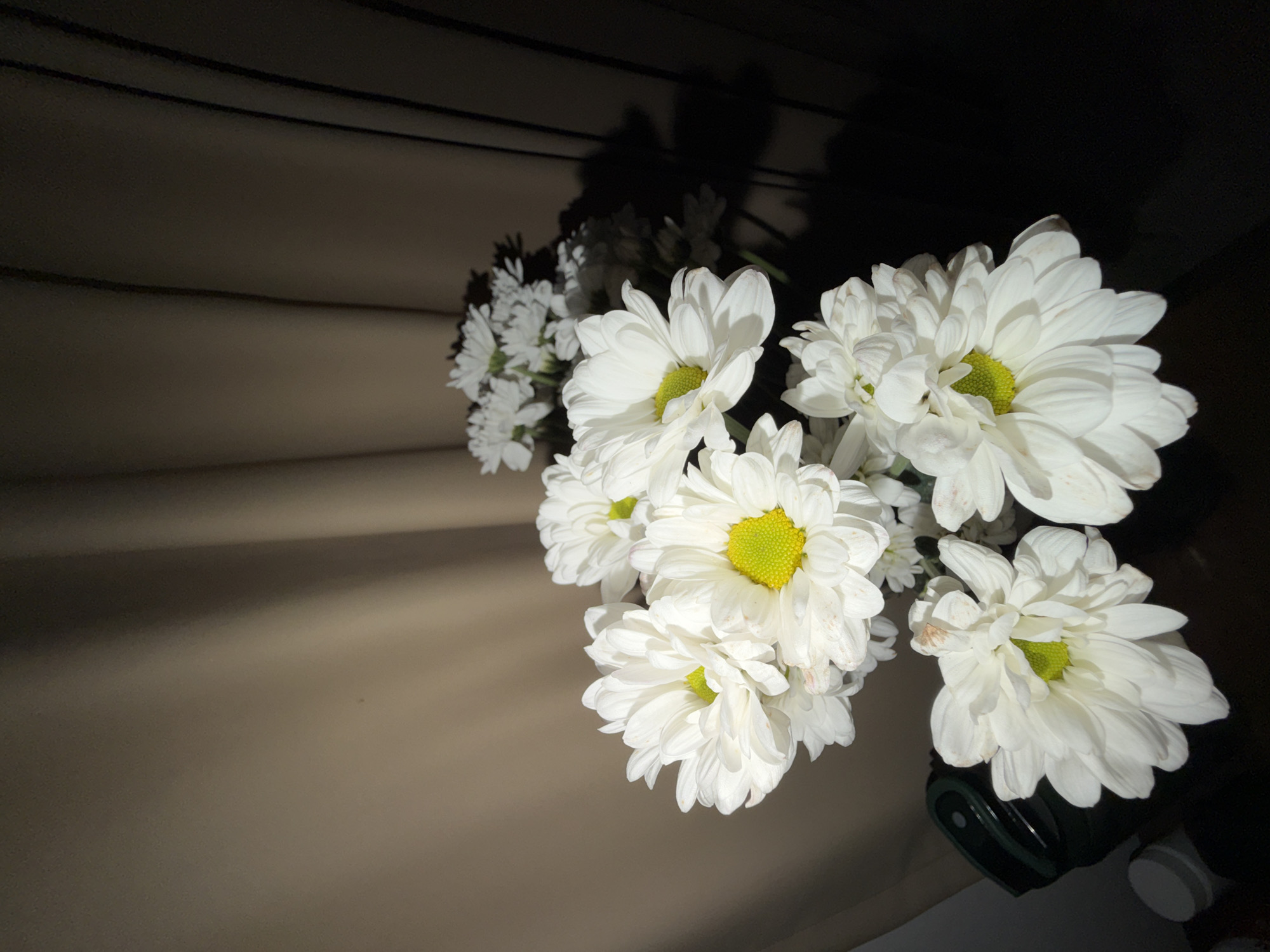 A still life photograph showcases a bouquet of white chrysanthemum-like flowers with vibrant chartreuse green centers. The flowers are brightly illuminated by a direct light source, casting dramatic, elongated shadows onto the dark background. This background appears to be an indoor wall or paneling, featuring subtle horizontal lines or ridges that are partially lit and partially in deep shadow, creating a high-contrast effect. A dark green object, likely a vase or container, holds the flower stems at the bottom right of the frame. The image is composed with an upward and outward angle, emphasizing the arrangement. Some white petals exhibit minor brown discolorations. The setting suggests an indoor environment, likely at night or in a dimly lit room due to the pronounced shadows and focused lighting. There are no visible people, activities, or text within the image, and no specific visual cues within the photo itself indicate its location in North Kuta, Indonesia.