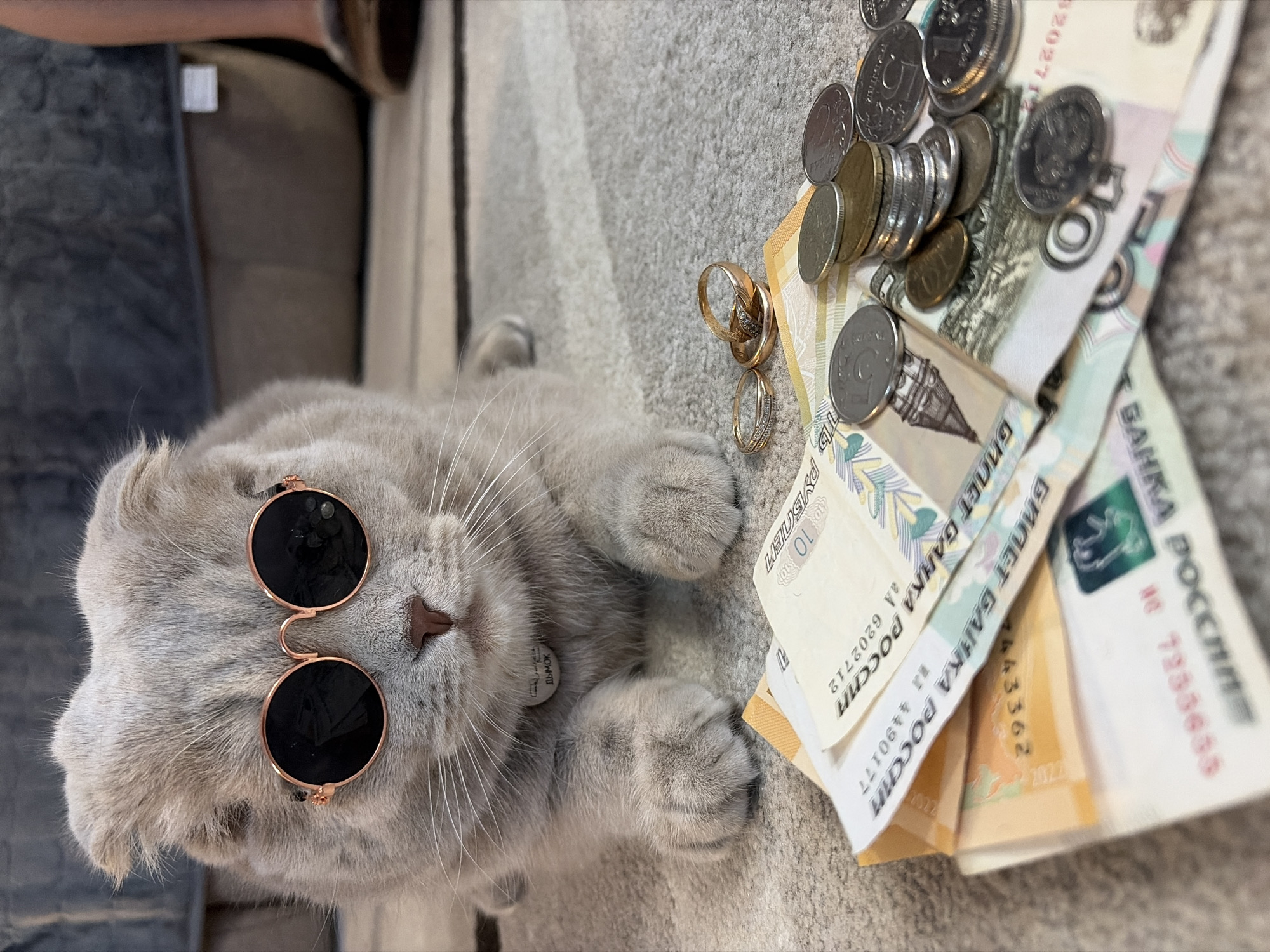 The image shows a light-gray Scottish Fold cat wearing round, rose-gold sunglasses, lying on its side on a gray textured carpet. The cat wears a small, round tag around its neck with the Russian word "Дымок" (Dymok) on it. To the right of the cat are scattered Russian rubles (banknotes and coins) and three gold rings. The banknotes display text identifying them as belonging to "БАНКА РОССИИ" (Bank of Russia). The OCR text on the banknotes includes serial numbers such as "4443362", "AA 6202712", "4490177", and part of a serial number "7255655". The word "РУБЛЕЙ" (rubles) is also visible on the banknotes. The carpet appears to be indoors, with a piece of furniture visible in the upper left corner.
