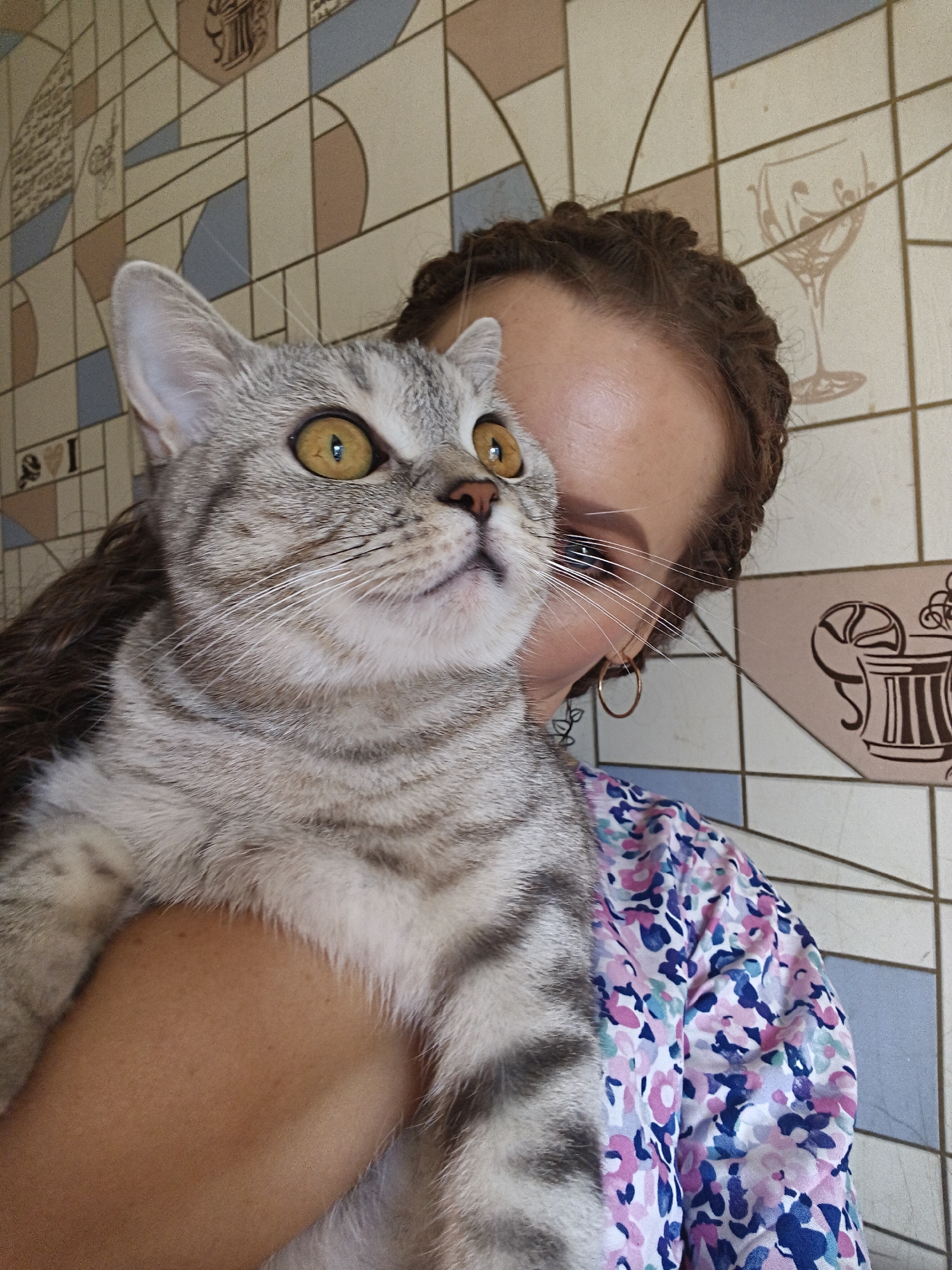 A woman is holding a gray tabby cat in front of a tiled wall. The cat is in the foreground, facing left with its head tilted up. Its eyes are wide and yellow. The woman's face is partially obscured by the cat, but her brown hair is visible, styled in a bun. She is wearing a floral-patterned shirt. The wall behind them is decorated with geometric patterns and illustrations of glassware and a mug with a lemon slice. The scene appears to be indoors.