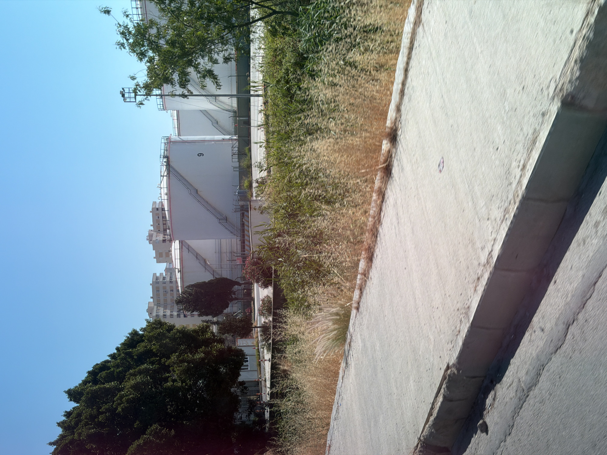 The image captures a view of a storage tank farm with multiple large white cylindrical tanks, common in industrial areas. The tanks are equipped with external staircases, typical for accessing the top of such structures. One tank is prominently marked with the numeral "9". In the background, several multi-story buildings, characteristic of urban residential or commercial areas, are visible. A dense cluster of green trees is on the left side of the frame, and a smaller group of trees, including cypress-like evergreens, are situated between the tanks. The foreground features a paved area, likely a road or walkway, with a concrete curb. Dry, tall grasses line the area in front of the tanks, suggesting a somewhat arid or naturalized border. The sky is clear and blue, indicating fair weather. The scene appears to be in an industrial or semi-industrial zone adjacent to a developed urban area. This location is identified as Konyaaltı, Turkey.