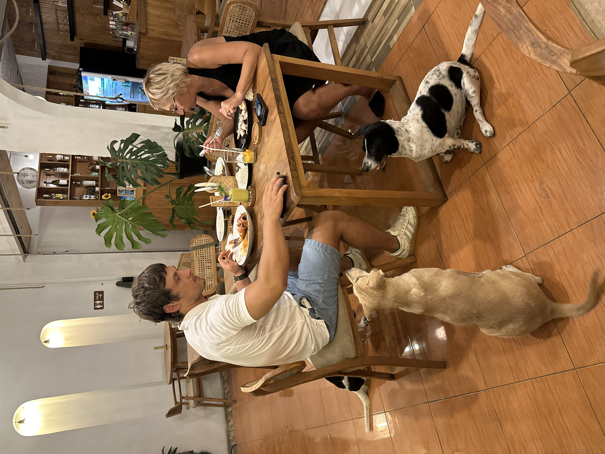 The image captures a dining scene at a restaurant in Nusa Penida, Indonesia. A woman with short blonde hair is seated at a wooden table, eating with a fork. Across from her, a man in a white t-shirt and blue shorts is holding a smartphone and appearing to take a photograph. Two dogs are positioned around the seated man. One is white with black spots and is standing on the woman's side of the table. The other dog is light brown and lying near the man's legs. The restaurant's interior features tile flooring, a display of alcoholic beverages, and indoor plants.