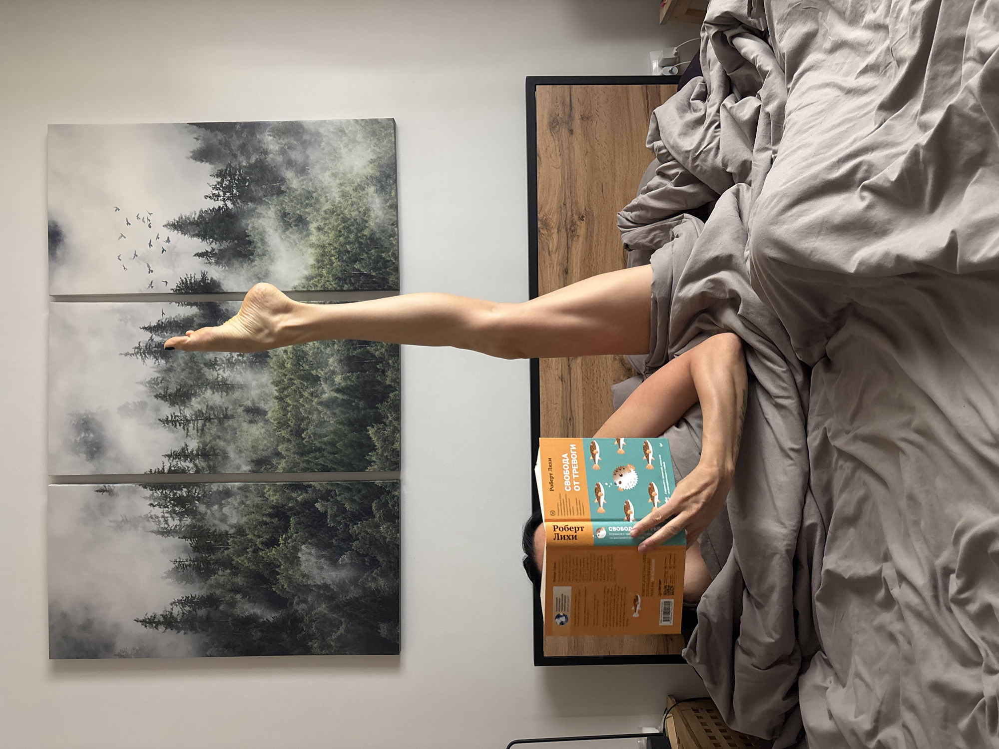 A person is lying in bed reading a book. The person is under gray bedsheets and has one leg extended upwards towards a picture on the wall. The picture is a triptych of a forest scene with a foggy atmosphere. The book being read has a light orange cover with a cartoon image of a pufferfish. The location may be in the city of Chaikovsky, Russia. The photograph is taken from an elevated, birds-eye view.