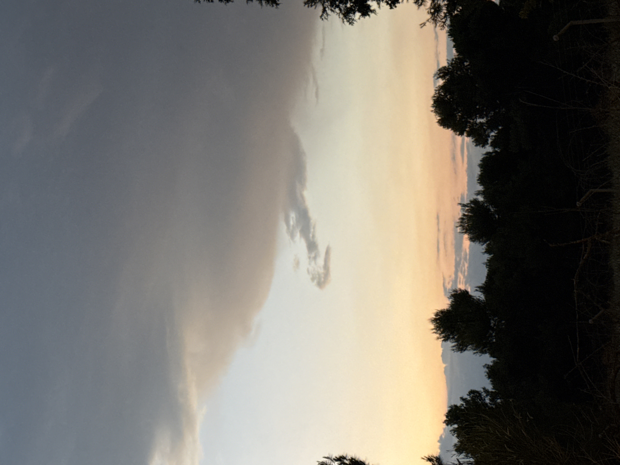The image depicts a sunset sky over a silhouetted treeline. The sky transitions from a dark, stormy grey at the top to lighter hues of blue and orange near the horizon. A large, dark cloud formation dominates the upper portion of the sky, with lighter, wispy clouds visible below. The foreground is a dense, dark silhouette of trees and foliage, with some dry branches and possibly barbed wire visible at the very bottom, suggesting a rural or park-like setting. The overall scene is one of natural beauty, likely captured in the late evening. There are no people or discernible actions within the frame.