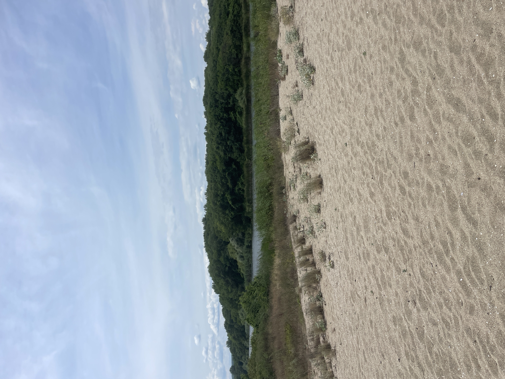 This image depicts a natural landscape scene located near Sinemorets, Bulgaria. The foreground is dominated by a sandy beach, characterized by fine sand with visible shell fragments and ripples from wind or water. Sparse, dry grasses and small, low-lying green plants are scattered across the sand.
Beyond the beach, a body of water, likely the sea or a river, is visible. Tall reeds and grasses line the water's edge, creating a natural barrier. In the background, a dense, lush forest of green trees stretches across the horizon. The sky above is partly cloudy, with a mix of white and gray clouds against a pale blue backdrop. The overall impression is of a serene, undeveloped coastal or riverside environment. There are no people or man-made structures prominently featured in the image.