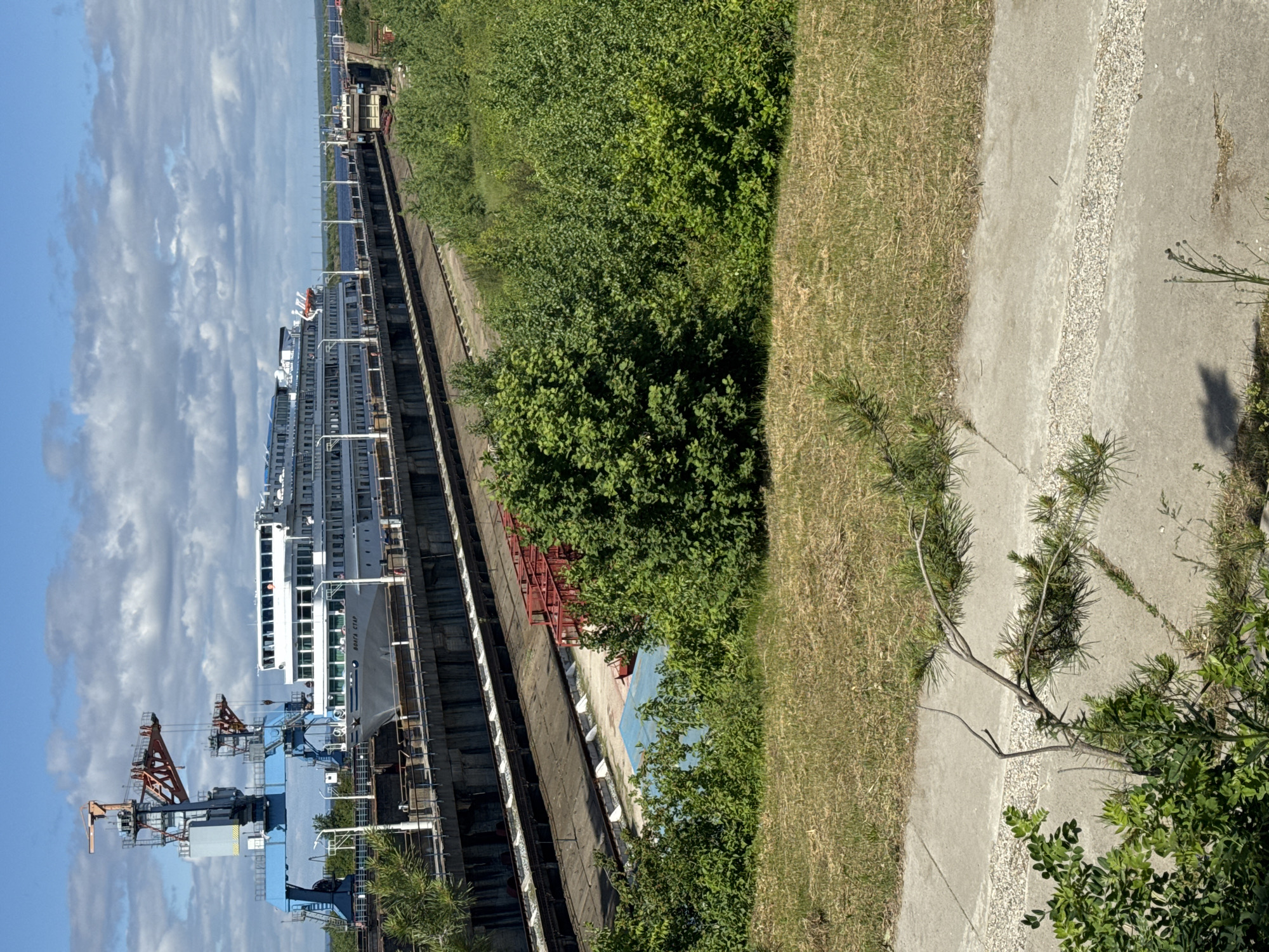The image shows a large white passenger ship, identified by the name "VOLGA STAR" on its bow, docked in a dry dock. The ship has multiple decks with numerous windows. In the background, a large blue crane structure with orange accents is visible. The dry dock appears to be part of an industrial facility or shipyard, with concrete walls and railway tracks running alongside it. Lush green trees and bushes surround the dry dock area. The sky is blue with scattered white clouds. The scene is captured from an elevated viewpoint, looking down into the dry dock and towards the ship. The location is identified as Chaikovsky, Russia, suggesting this is a port or shipbuilding facility on the Kama River. There are no discernible individuals engaged in specific actions within the frame, nor any clear interactions between people and objects. The overall impression is one of industrial activity and maritime infrastructure in a natural setting.