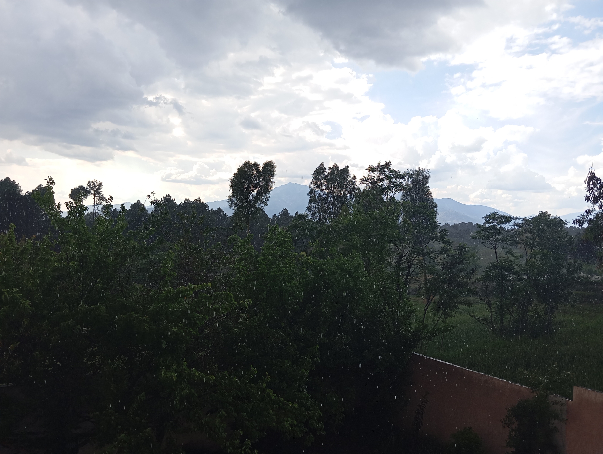 The image depicts a landscape scene under a cloudy sky with rain falling. The foreground is dominated by green trees and vegetation, with raindrops visible throughout the frame. In the midground, there are more trees and a glimpse of mountains in the distance. A section of a wall is partially visible in the lower right corner, suggesting the scene is viewed from an elevated position. The location appears to be in a natural setting, possibly a rural or suburban area. The presence of rain and cloudy sky suggests inclement weather conditions.
