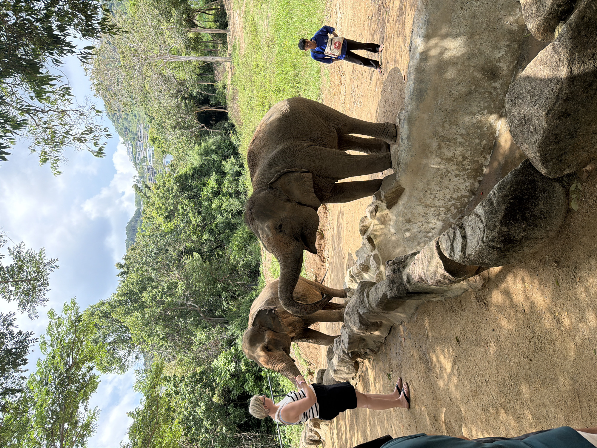 Two elephants and two humans are in an outdoor enclosure. On the left, a woman with short blonde hair, wearing a black and white striped tank top and a black skirt, stands facing a light brown elephant. She appears to be offering something to the elephant with her right hand. The elephant is reaching towards her with its trunk. To the right of this elephant, a larger, darker brown elephant stands with its trunk curled upwards, facing slightly towards the right. Its mouth is open. In the background, on the right side of the image, a young man wearing a blue long-sleeved shirt and black pants stands with his hands on his hips. He is wearing a bag over his shoulder. The enclosure has a rocky wall in the foreground, with sand and dirt on the ground. Behind the elephants, the terrain slopes upwards, covered in lush green vegetation. In the distance, on the hillside, structures resembling buildings are visible. The sky is partly cloudy, and trees with green foliage are abundant throughout the scene, indicating a tropical environment. The setting appears to be an elephant sanctuary or park in Ko Samui District, Thailand.