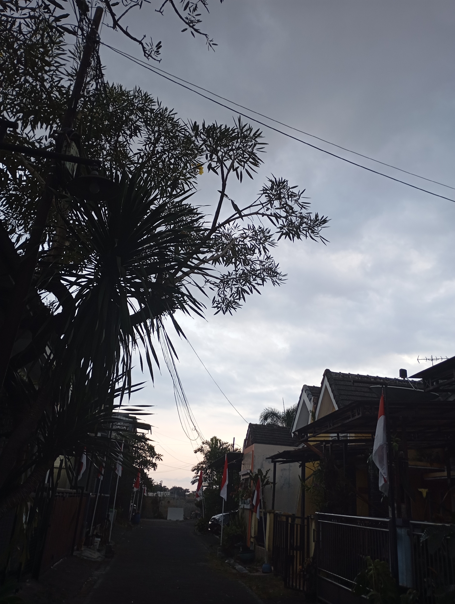 This is a medium-angle, outdoor shot of a narrow, unpaved road in a residential area, likely located in Malang, Indonesia, at dusk. The sky is overcast with grey clouds. On the left side of the road, a large, dark silhouetted tree with spiky, palm-like leaves dominates the foreground, obscuring a portion of the sky and a house. Several small Indonesian flags, red and white, are visible along the fence line bordering the road on the left. On the right side of the road, there are houses with tiled roofs, some with awnings and fences. More Indonesian flags are displayed on the right side as well. The road recedes into the distance, with more houses and trees visible further down. There are power lines stretching across the frame, supported by utility poles. The overall impression is of a quiet, possibly rural or suburban neighborhood in the late evening.