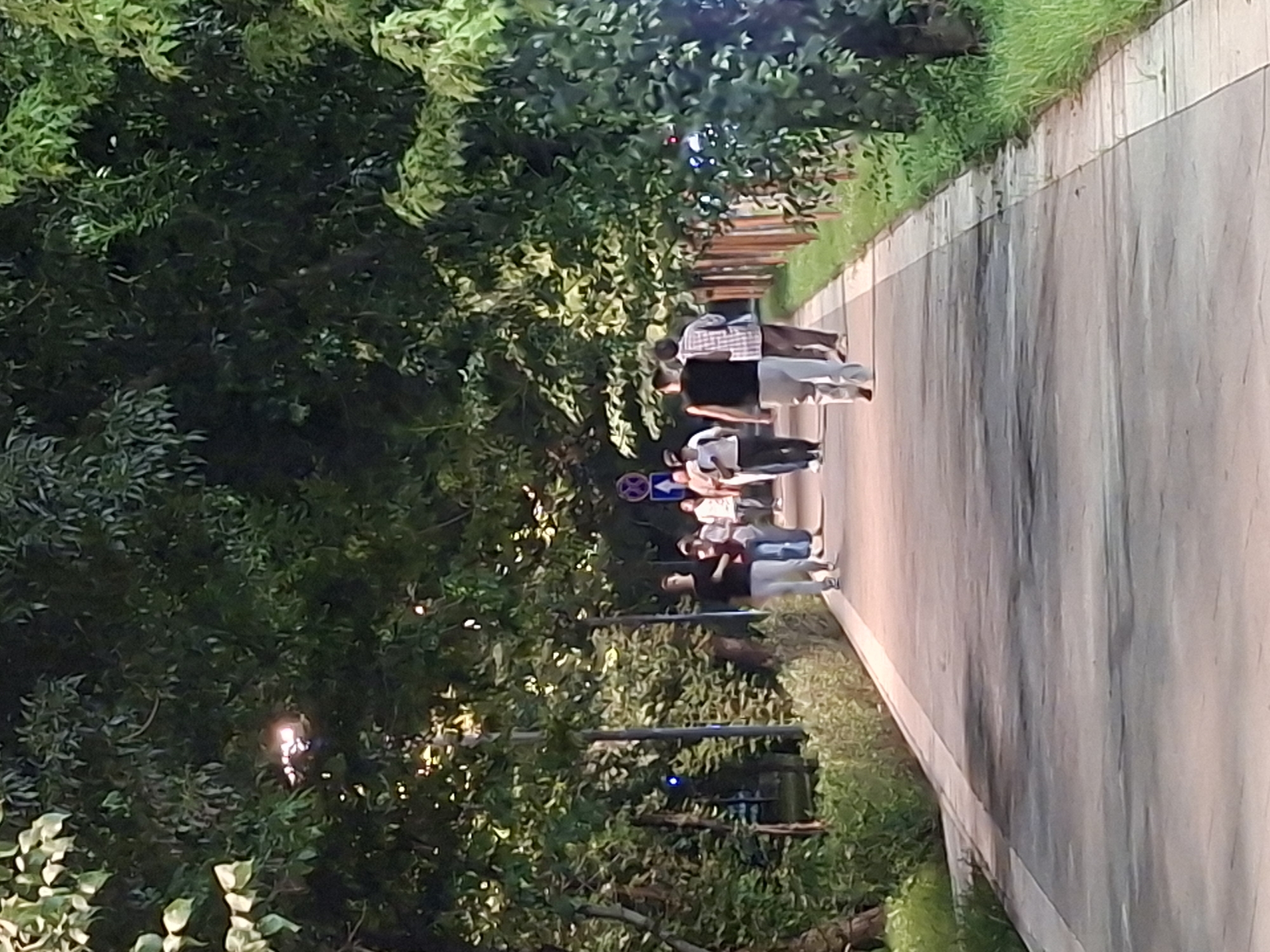 The image depicts a paved walkway lined with trees and vegetation, suggesting an urban park or boulevard setting. A group of individuals, appearing to be young adults and adults, are walking along the path. The scene is illuminated by ambient light, possibly from streetlights or natural twilight, casting shadows and highlighting the foliage. A signpost with circular symbols is visible in the background, indicating a public area. The overall atmosphere is one of casual pedestrian activity in an outdoor environment. The location is identified as Almaty, Kazakhstan.