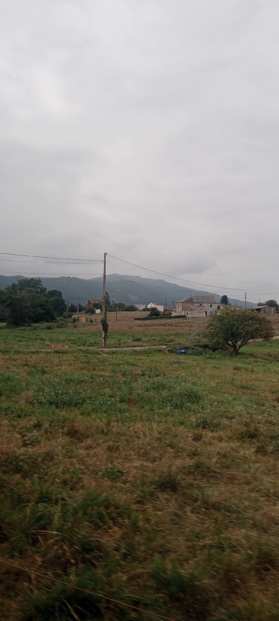 The image depicts a rural landscape in Meirengos, Spain, under a cloudy sky. The foreground is dominated by a field of dry, brownish-green grass, with some areas of taller green vegetation. A dark wire fence runs horizontally across the lower part of the frame. In the middle ground, a grassy field contains a solitary figure of a deer lying down, visible on the left side. A wooden utility pole with attached wires stands prominently in the mid-left of the frame, with vines growing up its side. Further into the mid-ground, on the right, a mature tree with dark green foliage stands near a large, light-colored building with a grey roof. Several other smaller buildings, some white and some with red roofs, are scattered across the landscape, with a larger, more distant structure also visible. Power lines stretch across the scene, supported by utility poles. In the background, a range of mountains forms the horizon, their slopes covered in vegetation and receding into the hazy atmosphere. The overall impression is one of a quiet, somewhat overcast rural setting.