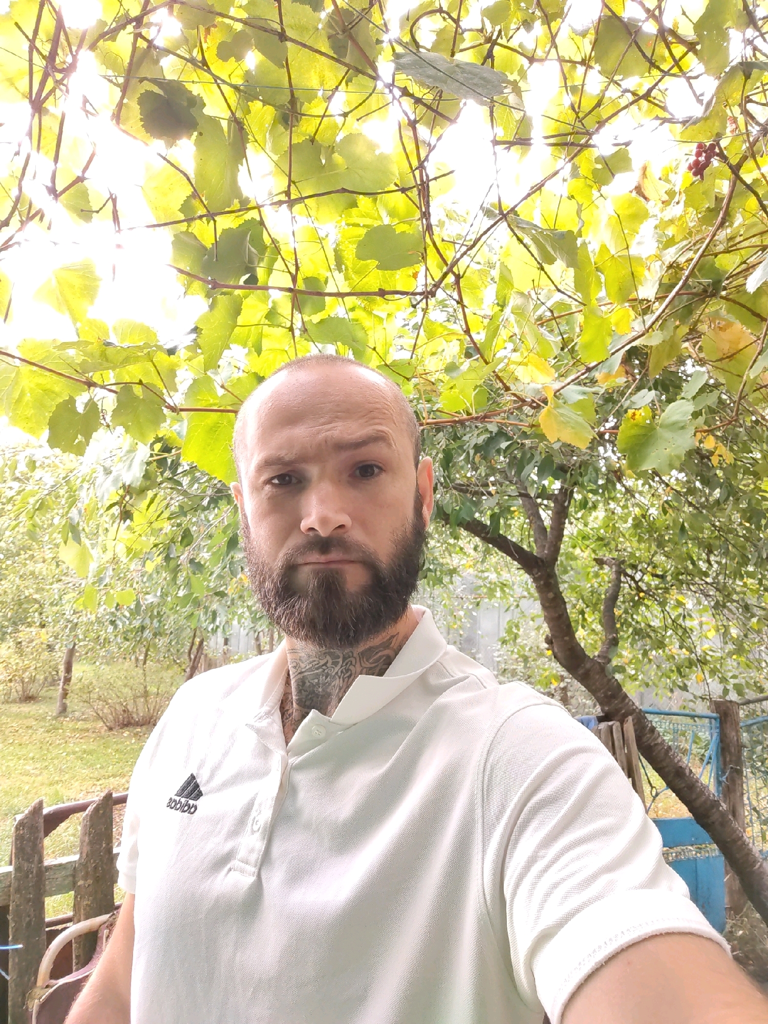 A bald man with a beard and tattoos on his neck stands in front of a blurry green outdoor background, likely a garden or park, with a fence and a blue gate visible to the right. He is wearing a white polo shirt with a black logo on the left chest. The lighting suggests it is daytime, possibly overcast. The image appears to be a selfie taken outdoors. The exact location within Бродніцкі сельскі Савет, Belarus, cannot be determined from the image alone.