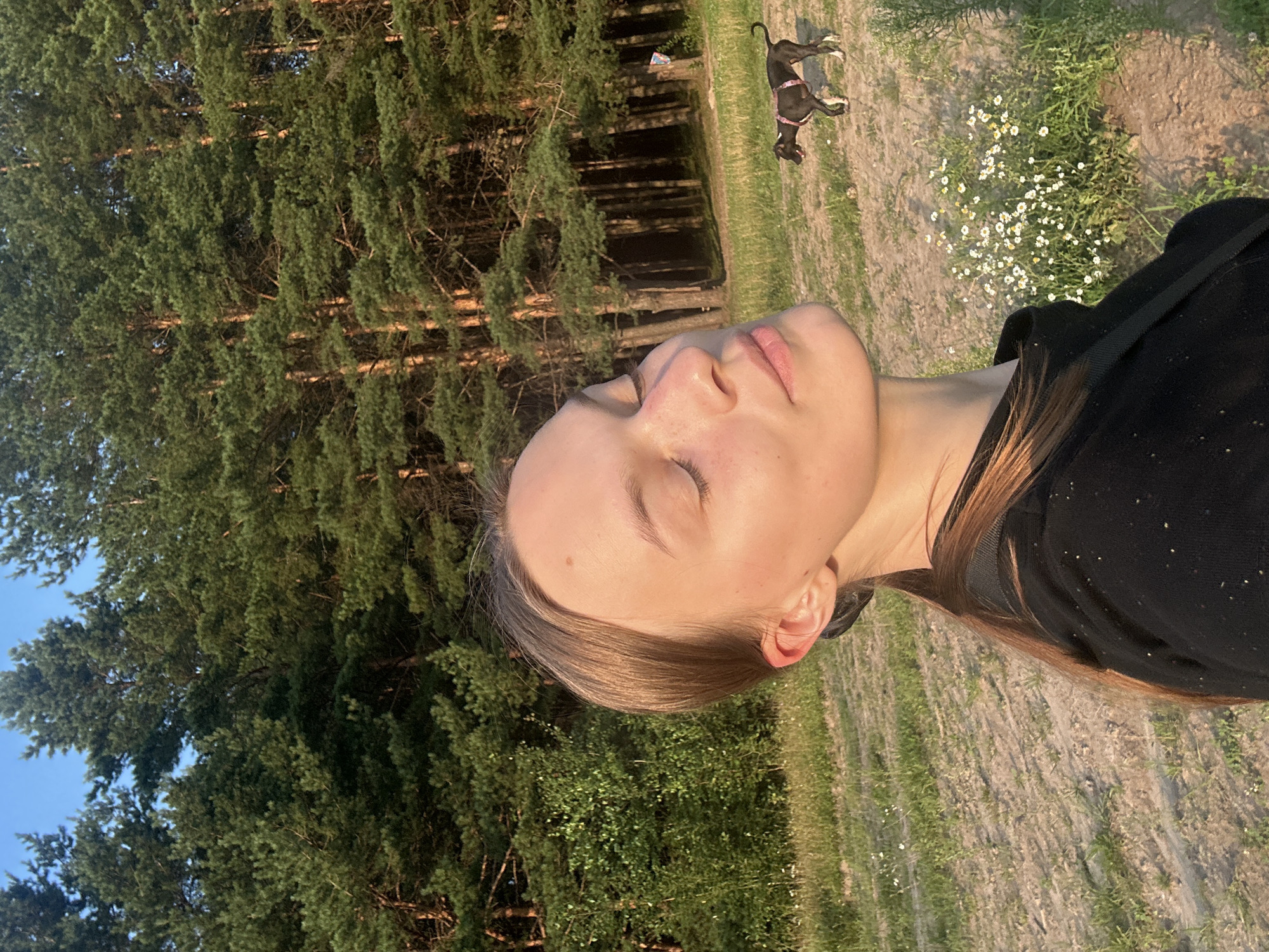 In a sandy clearing with sparse grass and a patch of white wildflowers, a young woman with her eyes closed and face tilted towards the sun stands in the foreground. She has light brown hair pulled back into a ponytail and wears a black long-sleeved shirt. In the background, a dark-colored dog with a pink harness walks to the right, away from the camera. Behind the clearing, a dense forest of tall pine trees stretches across the horizon under a clear blue sky. The lighting suggests it is late afternoon or early evening, with the sun casting a warm glow on the woman's face. The location is identified as Chaikovsky, Russia.