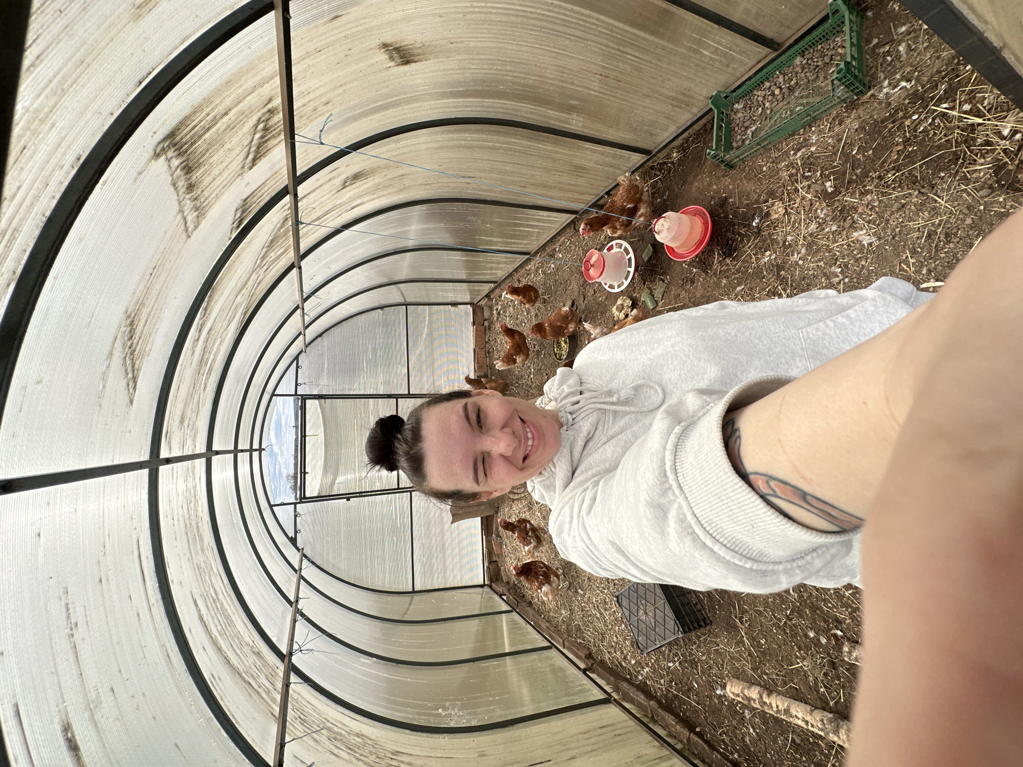This selfie-style photograph captures a young woman smiling brightly inside a large, tunnel-shaped structure, likely a chicken coop or greenhouse, situated in Альняш, Russia. The image is oriented sideways, with the woman on the right, looking directly at the camera with a joyful, slightly squinted expression.
The woman has her dark hair pulled back into a bun and is wearing a light-colored, possibly white or light grey, hooded sweatshirt. A tattoo is partially visible on her inner left forearm, extending from beneath her sleeve.
The interior of the structure features a curved, translucent roof composed of ribbed panels supported by dark, arched frames. This design allows ample natural light to illuminate the space. The floor is a mix of dirt, straw, and hay, characteristic of a poultry enclosure. Scattered across the ground are several brown chickens, appearing to forage or rest.
Visible objects include two red and white plastic poultry feeders or waterers on the ground. Towards the rear right, a green plastic crate, potentially for nesting or perching, rests on the earthen floor. Various support beams and a thin blue string or wire hanging from the ceiling are also present within the structure. The bright illumination suggests it is daytime. There is no visible text in the image.