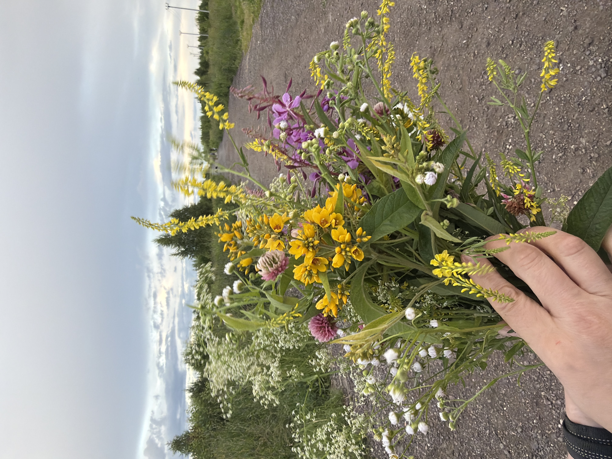 A hand holds a bouquet of wildflowers in this vertically oriented, medium shot. The flowers are a mix of yellow, purple, and white, with some green foliage. In the background, a gravel road leads into the distance, bordered by green grass and trees. Power lines are visible in the far distance. The sky is overcast, suggesting a cloudy day. The overall mood is natural and serene. The image appears to be taken in the late afternoon or early evening. The location is identified as Чёрная, Russia. There is no visible text in the image.