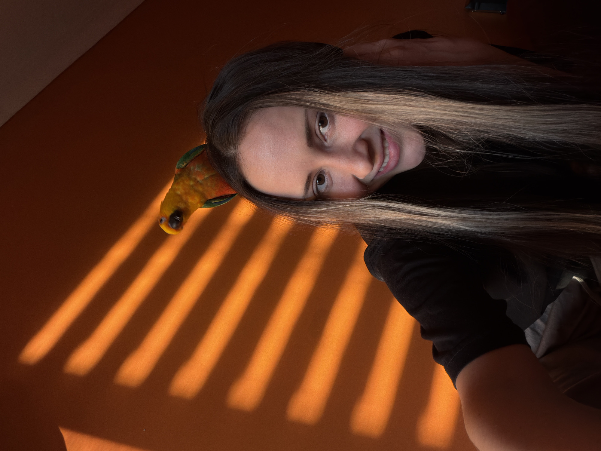 This image depicts an indoor scene in Khimki, Russia, featuring a young adult female and a parrot. The primary subject is a female, visible from the chest up, positioned slightly off-center. She has long, dark brown hair with lighter blonde streaks, parted in the middle, and is smiling towards the camera, revealing teeth. Her left hand is raised to the side of her head, touching her hair. She is wearing a dark-colored, presumably black, short-sleeved top. Perched centrally on the crown of her head is a small, colorful parrot, likely a conure, exhibiting yellow, orange, green, and red plumage. The parrot is oriented towards the left side of the frame. The background consists primarily of a solid orange-colored wall, upon which prominent, parallel horizontal shadows from window blinds are cast by direct, warm-toned illumination. A darker, diagonal plane is visible in the upper right portion of the frame, possibly indicating a ceiling or an angled wall.