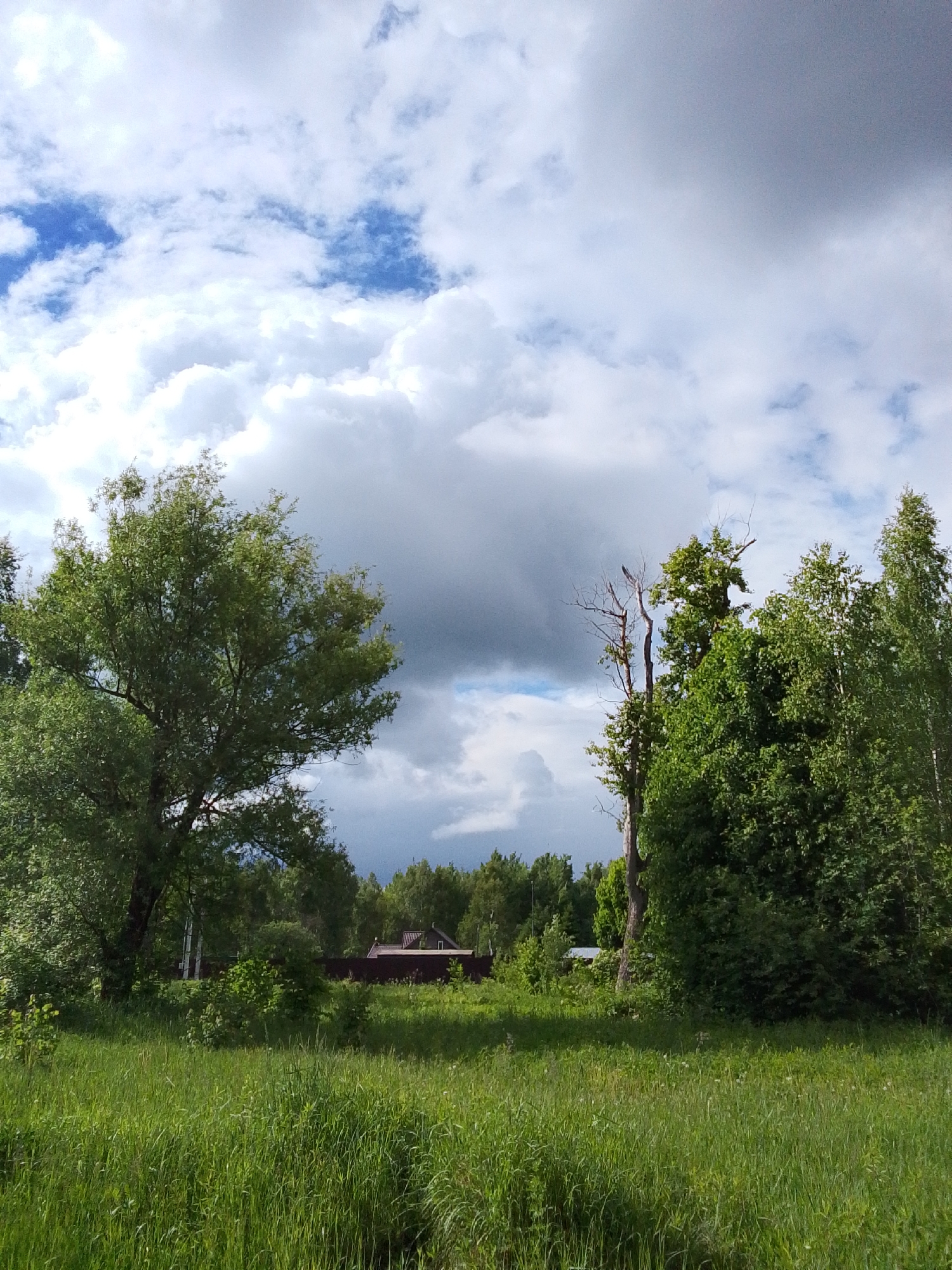 The image depicts a grassy field in 1-Go Maya, Russia. Tall green grass dominates the foreground. Behind the grass, trees are visible, framing a view of a distant red-roofed building that seems to be a house or small structure. The sky is filled with clouds, with some areas of blue sky breaking through. A portion of the clouds is dark grey, suggesting an impending weather change. There are no people visible in the photograph.