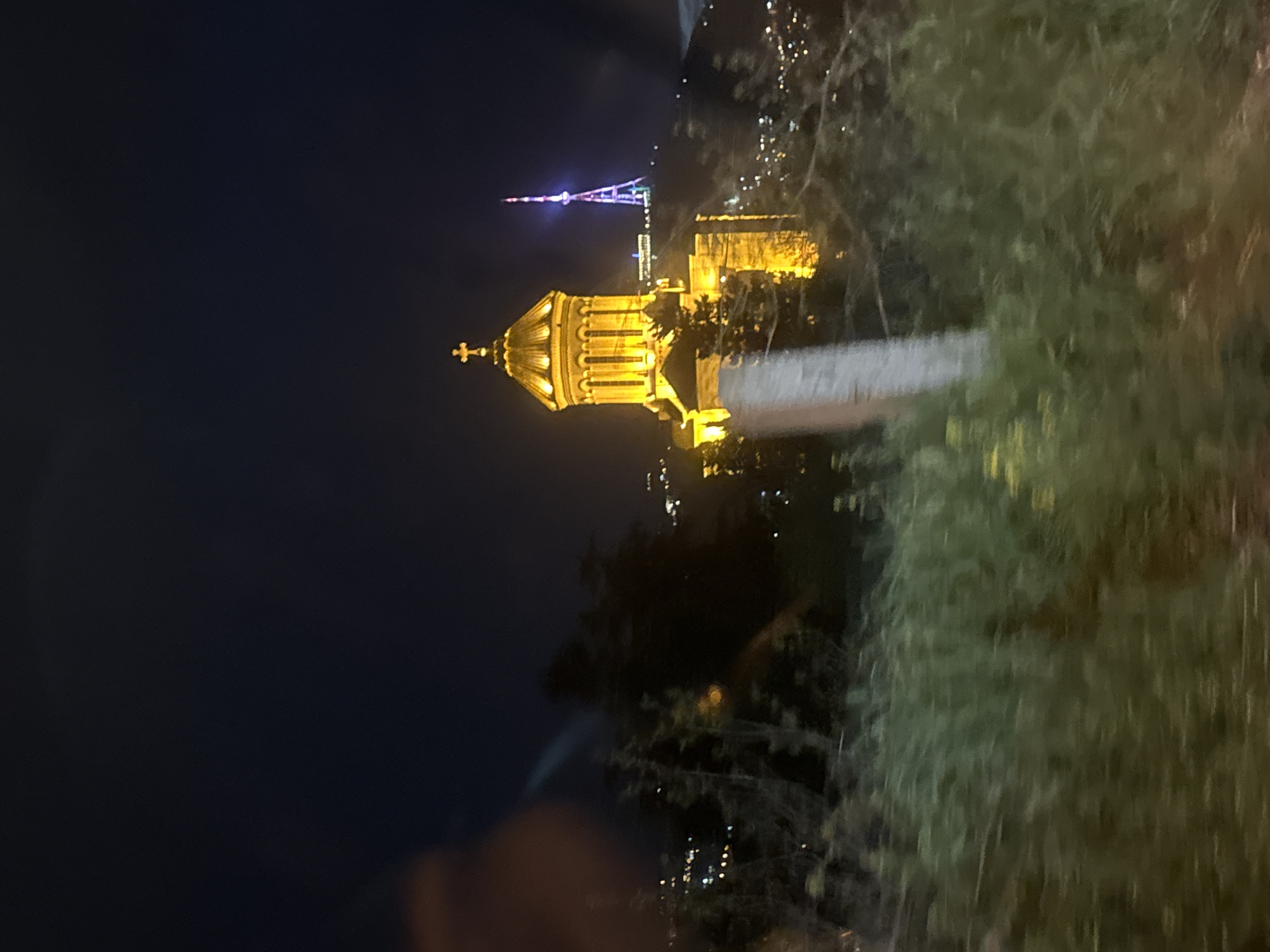 The image presents a nighttime panoramic view of a city, captured from an elevated position, likely a hillside or vantage point. The sky is dark, indicating night, with artificial lights illuminating the urban landscape.
The most prominent subject is a large, golden-domed building, centrally located and brightly lit with warm yellow light. This structure appears to be a cathedral or church, featuring intricate architectural details and topped with a cross. Further in the background, to the left of the golden-domed building, stands a tall, slender television tower, illuminated with vibrant purple and blue lights.
Scattered throughout the mid-ground and background are numerous smaller lights, outlining other buildings and indicating a sprawling cityscape. The foreground and parts of the right side of the image are obscured by dark, out-of-focus foliage, suggesting the photograph was taken through trees or bushes.
No people are visible in the image, and no specific activity is taking place; it's a static landscape shot. The clear sky suggests fair weather. Given the provided context, the illuminated golden-domed building is likely the Sameba Cathedral and the distinct tower is the Tbilisi TV Tower, situating the scene in Tbilisi, Georgia. There is no visible text in the image.