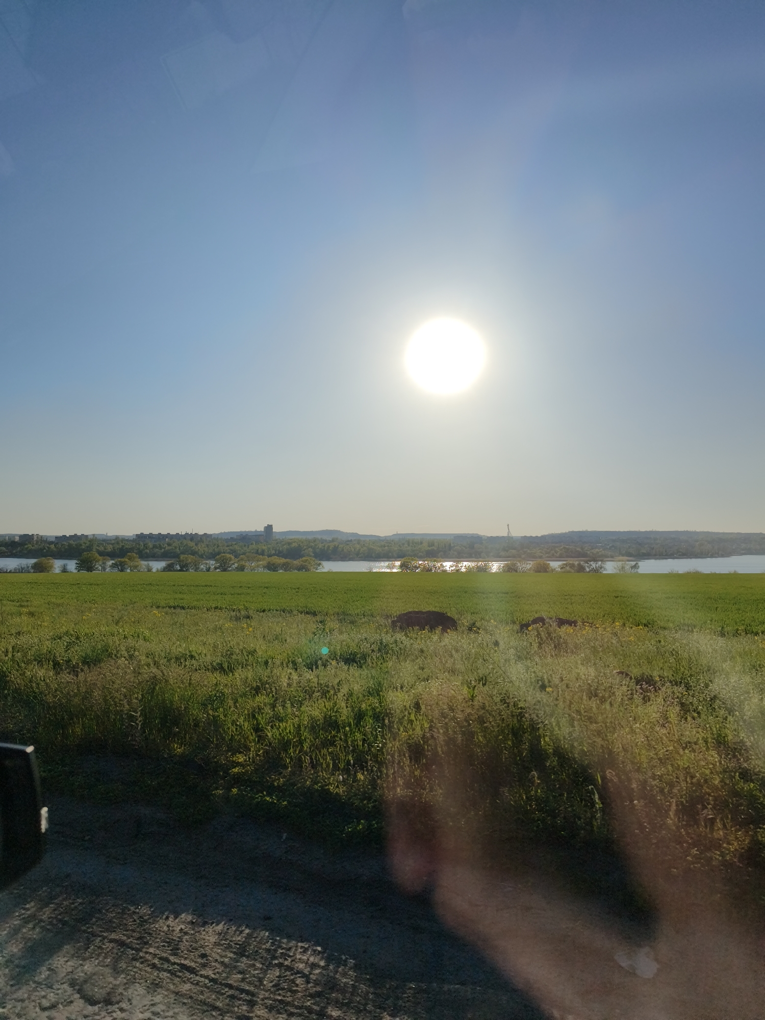 The image shows a sunlit landscape near Kryvyi Rih, Ukraine. A field of green grass and wildflowers stretches to a horizon with a body of water reflecting sunlight. Beyond the water, a treeline is visible, and a silhouette of a city skyline with structures, possibly including industrial elements such as a tower or crane, is discernible. The sky is clear blue with the sun as the focal point. The foreground includes a section of unpaved ground, possibly a road, and the edge of a vehicle is visible.