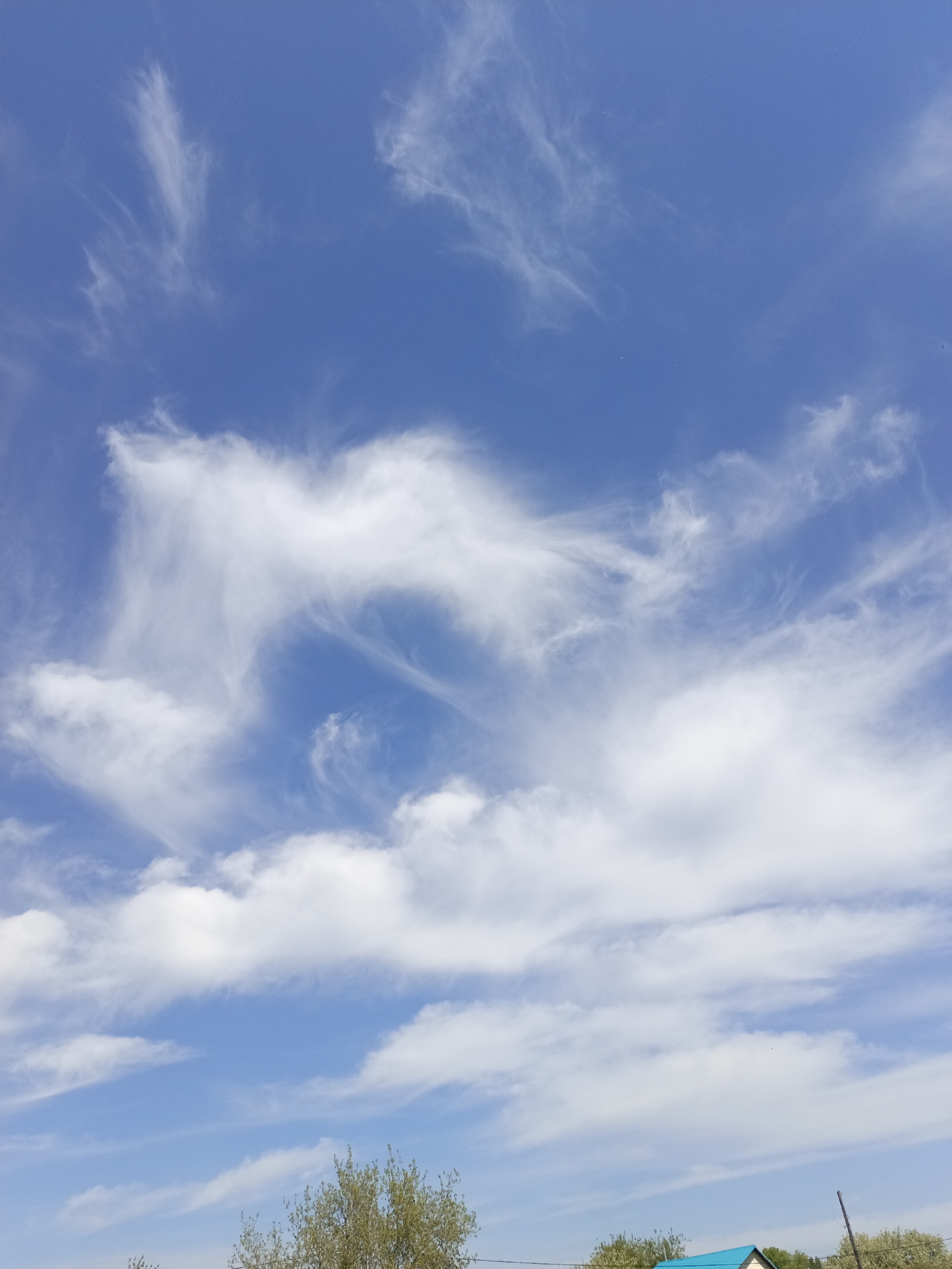 The image shows a bright blue sky with wispy white clouds. The clouds are varied in shape and density, some thin and scattered, others more substantial. In the lower portion of the image, the tops of trees are visible. A building roof, with a blue-green covering, can be seen just behind the trees. This picture was taken in Zalesovo, Russia.