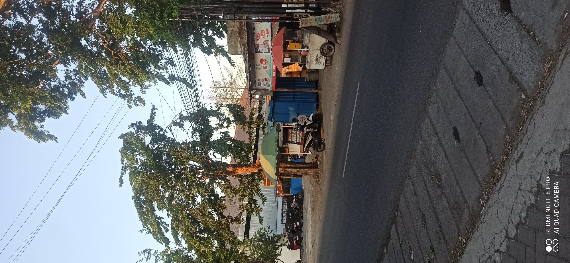 The image depicts a street scene in Sedati Gede, Indonesia. In the foreground, a paved road runs parallel to a concrete gutter. A large tree with dense foliage dominates the mid-ground, with several motorcycles parked nearby. Behind the tree, a row of small food stalls and shops are visible, some with red and green umbrellas. Power lines crisscross the sky above. In the background, a large building with a metal facade and a corrugated iron roof is situated. The sky is clear and blue, suggesting it is daytime. A person is seated on a motorcycle in front of one of the stalls. A small cart with wheels is parked next to another stall. The overall impression is of a bustling commercial area on a street.