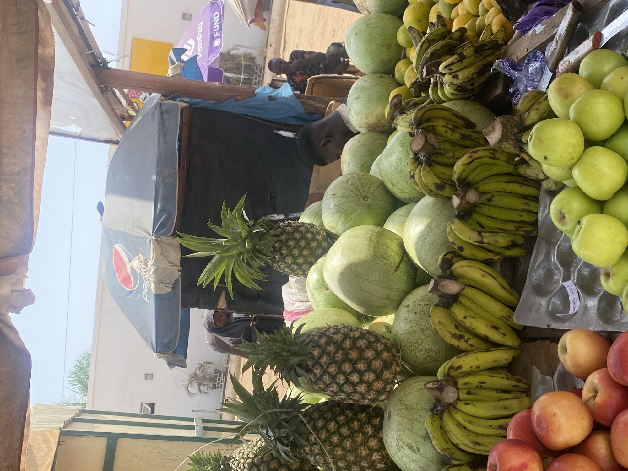 This image depicts an outdoor fruit stall located in Rido, Nigeria, under a clear daylight sky. In the foreground, a large display of fresh produce is visible. Dominating the center are numerous green watermelons, surrounded by multiple pineapples with their leafy crowns. Bunches of green and yellow bananas are arranged prominently below the watermelons. To the lower left, a pile of red and yellow apples is present, with some green apples and small orange citrus fruits occupying the lower right. A knife with a white and red handle is visible resting on the display surface near the green apples.
Three individuals are present within the scene. A male with short dark hair is partially obscured behind the fruit display, leaning forward. To the left of the central fruit display, a female wearing a dark hijab is standing, looking down at an object held in her hands. Further in the background, to the right, a male wearing a patterned shirt is seated, observing the area.
The stall is covered by a light-colored, rudimentary canopy structure supported by wooden poles. A prominent blue umbrella branded "Pepsi" is open above the stall. In the background, a purple umbrella branded "PalmPay" and "FUND" is also visible. White-walled buildings, one with a small window, and some potted plants are situated behind the stall. The ground in the distance appears to be dry earth or sand.