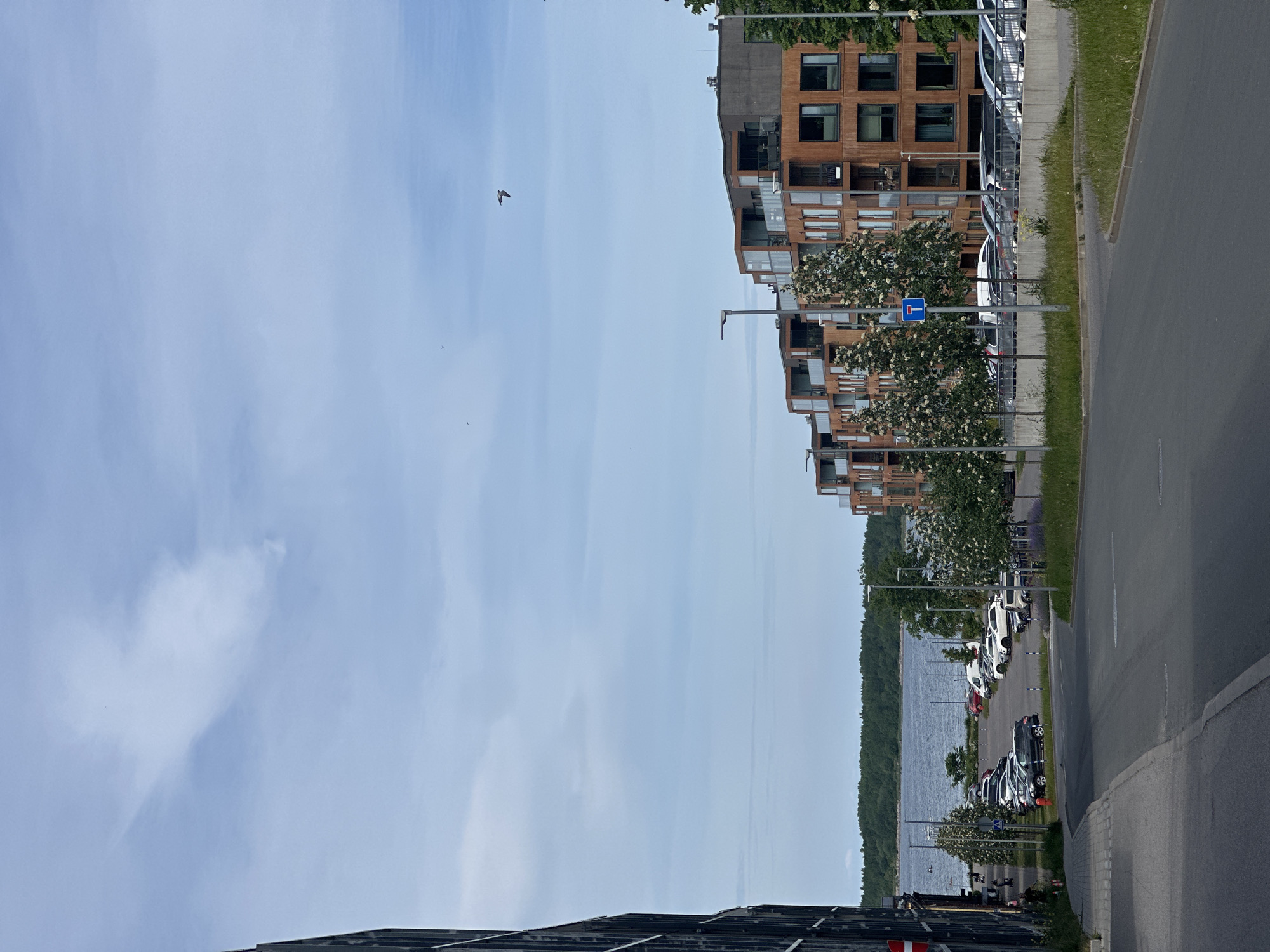This image depicts a street scene in Tallinn, Estonia, with a focus on modern architecture and a waterfront view. On the left, a dark, multi-story building with a grid-like facade dominates the foreground. To the right, a row of contemporary apartment buildings with wooden accents and numerous windows runs along the street.
In the midground, a body of water, likely the Baltic Sea, is visible, bordered by a lush green tree line on the opposite shore. A parking lot filled with various cars is situated between the apartment buildings and the water. A paved road curves through the foreground, with a sidewalk and grassy areas flanking it. Streetlights are present along the road.
The sky is a pale blue with scattered white clouds, and a bird is captured in flight in the upper right quadrant of the image. A few individuals can be seen walking or cycling in the distance near the waterfront. The overall impression is one of a modern, residential urban environment integrated with natural elements.