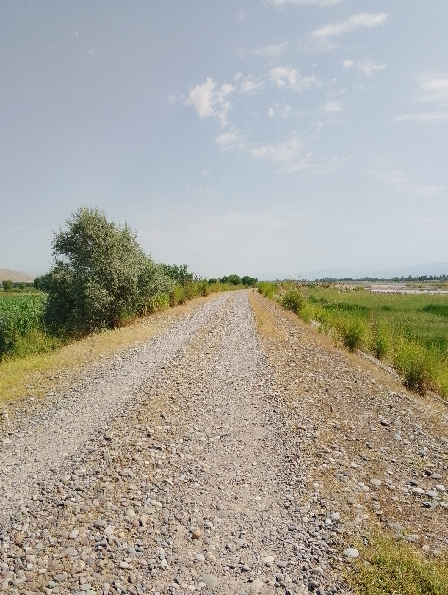 The image depicts a dirt road in Kulob, Tajikistan, stretching into the distance under a hazy sky. The road is covered in gravel and stones, with dry grass and weeds growing along its edges. To the left of the road, there is a dense, green tree and further beyond, fields of green vegetation. To the right, tall green grass grows densely, bordering the road. In the far distance, the landscape appears flat with faint hills visible on the horizon. The overall impression is a rural, arid environment under a bright sky with scattered white clouds.