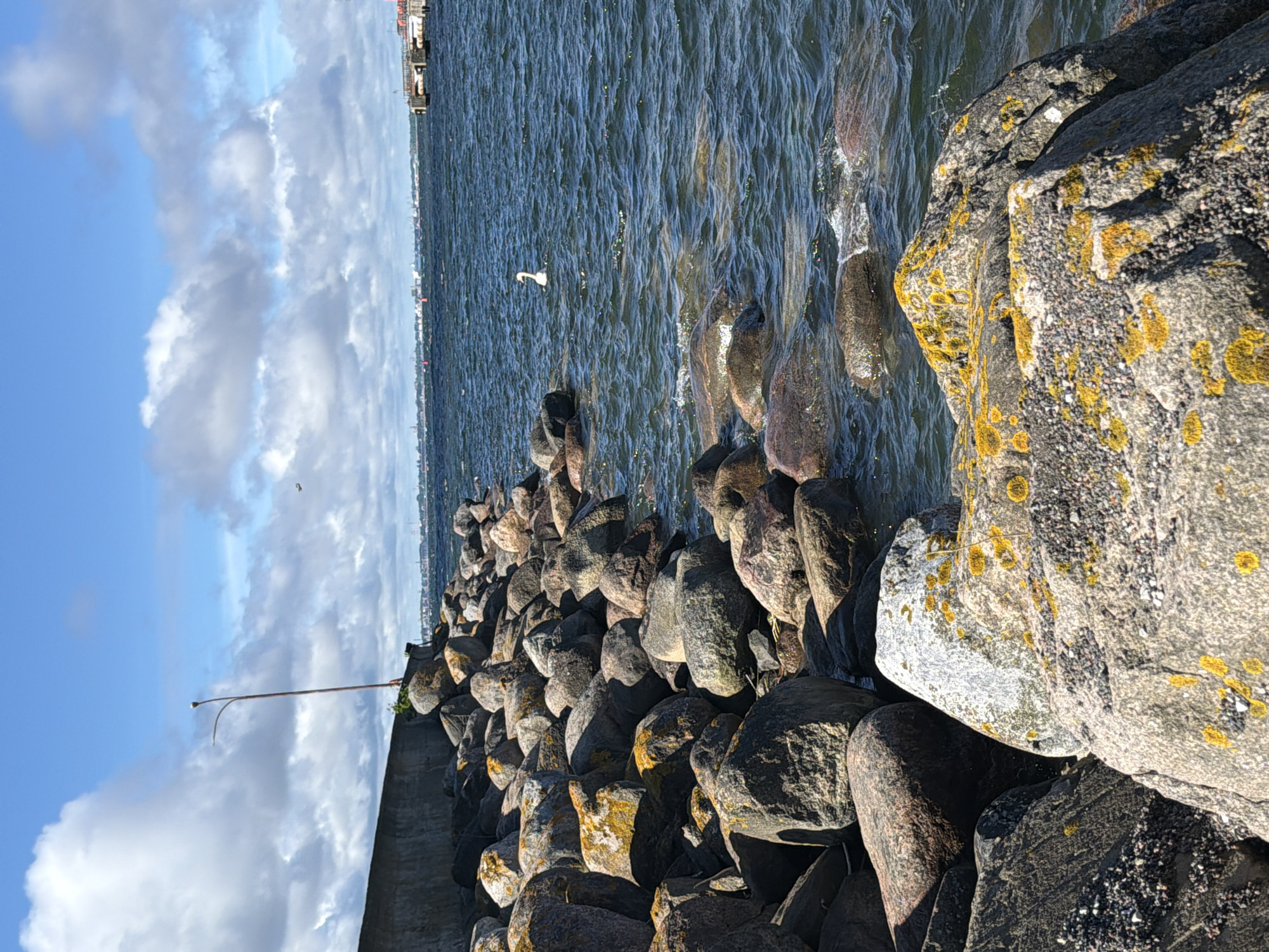 A swan swims in dark blue water, which laps against a breakwater made of large, grey, lichen-covered boulders under a bright blue sky with scattered white clouds. The breakwater extends from the left edge of the frame to the right, forming a protective barrier along the coastline. In the distance, a city skyline is visible, with several boats and a pier. A tall, thin lamppost stands on the breakwater. The water is choppy and reflects the sunlight. The overall scene depicts a natural coastal environment with urban elements in the background.