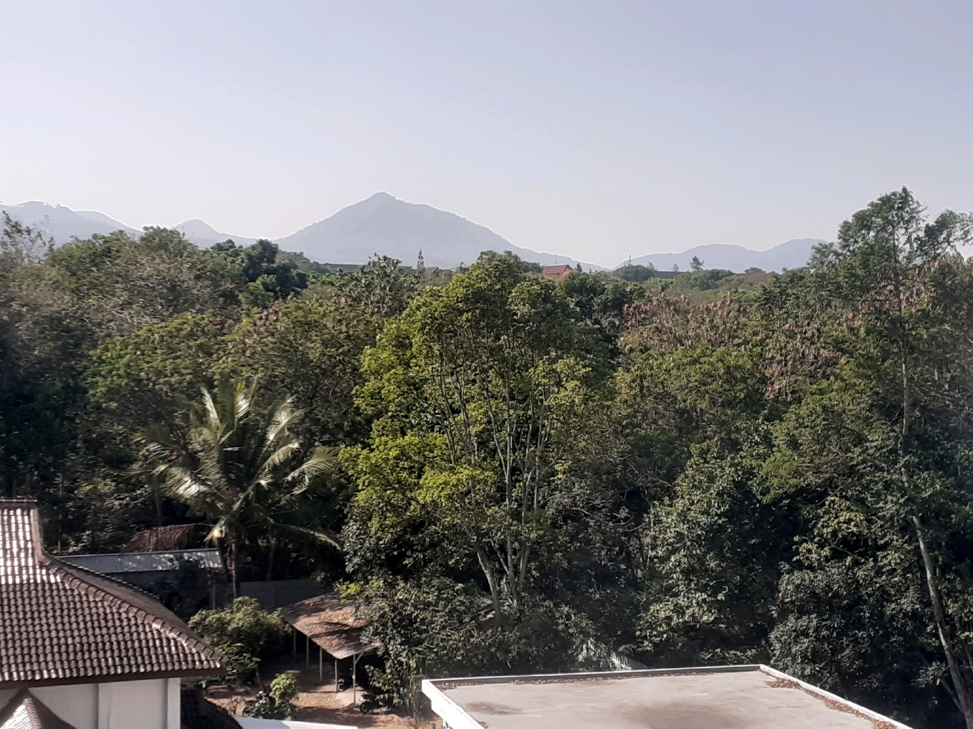 The image depicts a landscape view from a slightly elevated position overlooking a densely wooded area with mountains in the distance. The foreground shows the corner of a building with a brown tiled roof, and to its right, a flat rooftop. Beyond these structures, a lush green forest dominates the midground. A prominent palm tree is visible on the left side of the forest. Several small, simple buildings with thatched or tiled roofs are nestled within the trees. The background features rolling hills and hazy, layered mountains under a pale sky. The scene suggests a semi-rural or suburban environment with abundant vegetation, likely located in or around Sumedang, Indonesia, given the presence of tropical flora and mountainous terrain. There are no people or animals visible in the image. The time of day appears to be morning or afternoon, with bright, diffused sunlight.