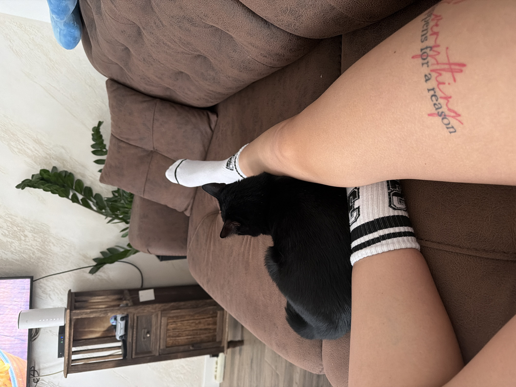 A close-up shot shows a person's legs resting on a brown couch. The person is wearing mismatched socks: a white sock on the left foot and a white sock with black stripes on the right foot. A black cat is nestled between the person's legs. The person has a tattoo on their left thigh with the text "Anything happens for a reason." In the background, there's a fern, a wooden cabinet, and a television. The location cannot be determined to be in Gabrovo, Bulgaria from the given image.