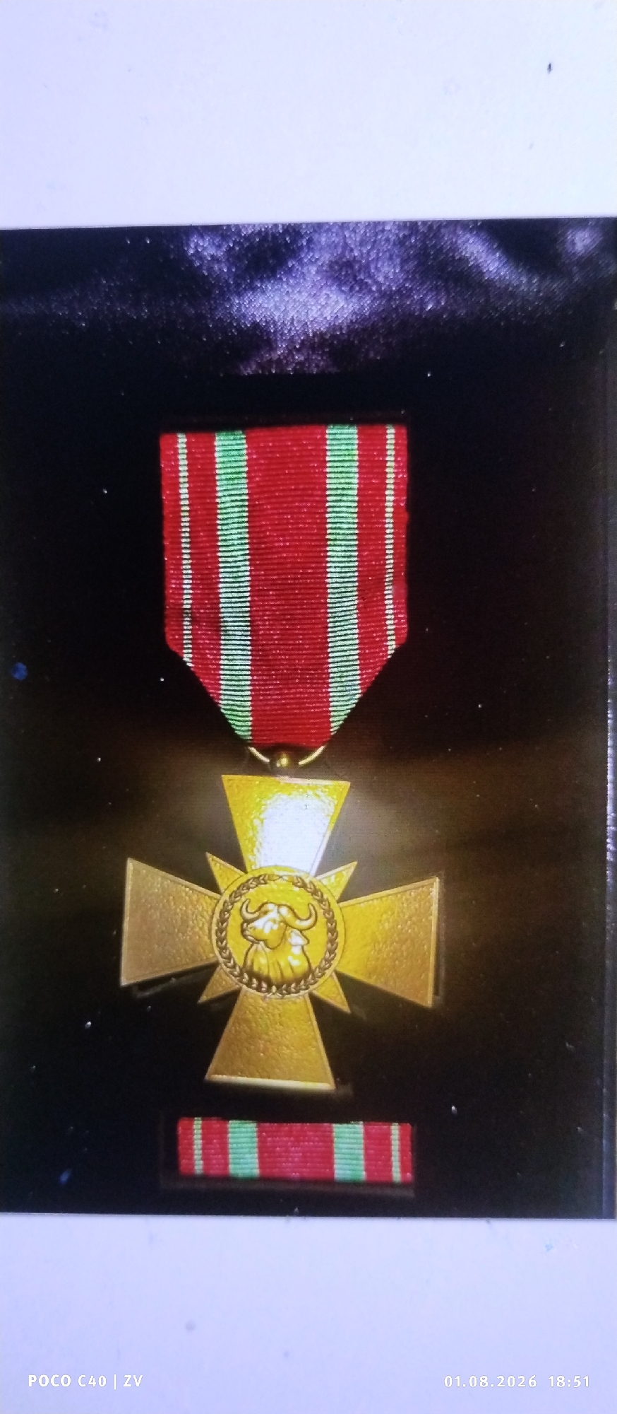 A close-up, well-lit, eye-level shot showcases a military medal displayed on a dark, textured background that appears to be velvet. The medal is a gold-colored cross with four equal arms, each tapering to a point. In the center of the cross is a circular emblem featuring a gold depiction of two buffalos within a wreath. Above the cross, a red ribbon with thin green stripes is attached, designed to hang the medal. Below the cross, a smaller, rectangular ribbon, also red with thin green stripes, is positioned. The overall presentation suggests a formal display of a decorated item. The image is captured indoors, with no discernible environmental context relating to the city of Лубянки, Russia.