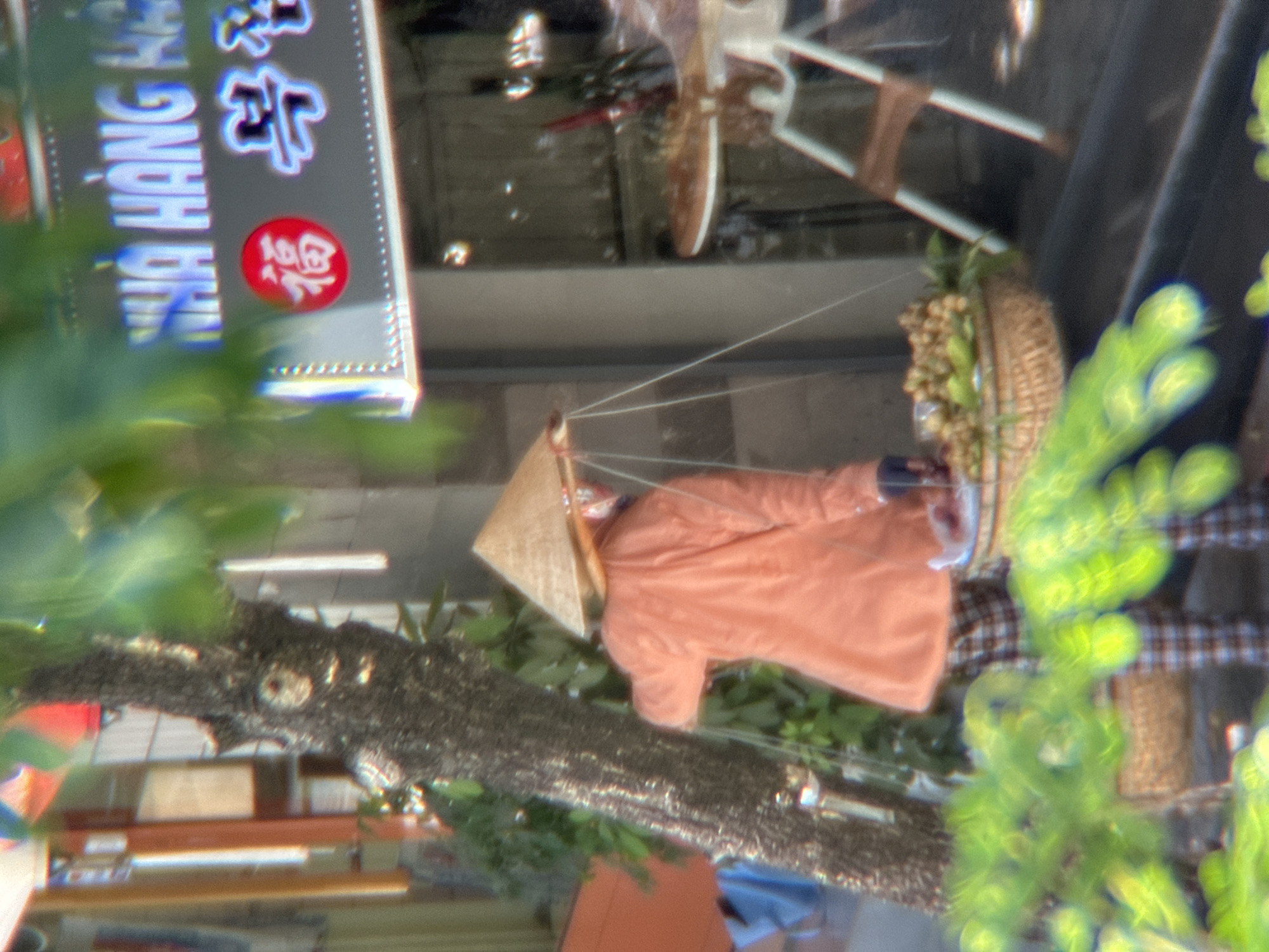 The image captures a street scene in Da Nang, Vietnam, with a focus on a vendor carrying produce. The vendor, wearing a traditional conical hat and an orange top over plaid pants, is seen from behind, with a yoke supporting two baskets laden with fruits and vegetables. In the background, a storefront displays signage in what appears to be Vietnamese and Korean, indicating a commercial area. A tree trunk to the left, with rough bark, partially obscures the view of the vendor and the storefront. Lush green foliage in the foreground suggests a lively urban environment. The overall impression is one of daily commerce and street life in a Vietnamese city.