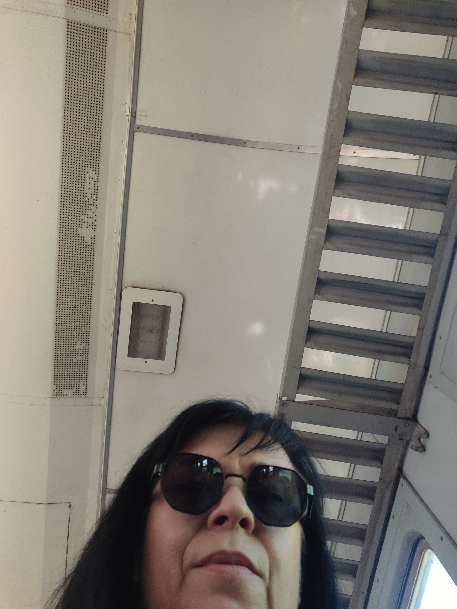An upward-facing medium shot captures a woman wearing dark sunglasses. She has long, dark hair. The background is an interior space, possibly a train or bus, with a perforated metal vent on the left and a ladder-like structure on the right. The lighting is bright, suggesting it is daytime. The woman is looking directly at the camera, her mouth slightly open.