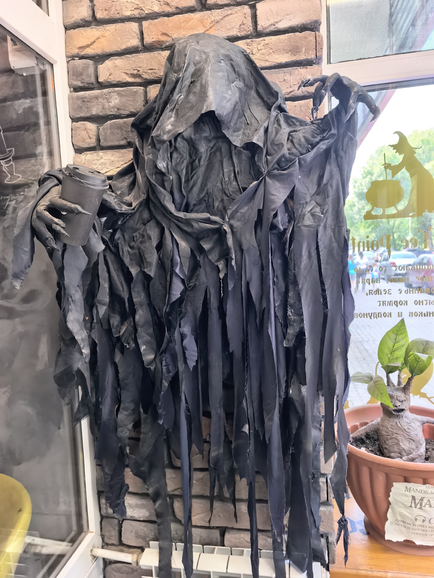 This is a medium shot of a Halloween decoration resembling a grim reaper figure. The figure is made of black, torn fabric that hangs in strips, creating a tattered and menacing appearance. It has long, skeletal-like fingers, and one hand is holding a dark cup. The figure is positioned in front of a brick wall, and to its right, there is a window with a yellow silhouette of a witch stirring a cauldron.
Through the window, the scene outside appears to be a street with cars and some greenery, suggesting an outdoor setting during daylight. The overall mood is spooky, fitting for a Halloween theme.
Visible text in the image includes partially obscured Russian lettering on the window and a label on a potted plant in the foreground that reads "HERMIONE MANDRAKE MAN." The label also contains text describing how to approach the plant, with phrases like "APPROACH ONLY WITH" and "SCREAM IS NOT YET." The potted plant itself contains a small, creature-like figure with leaves growing from its head, resembling a mandrake from the Harry Potter series. A yellow object, possibly a chair or stool, is partially visible on the left side of the frame. The setting appears to be indoors, near a window, likely a shop or a decorated room.