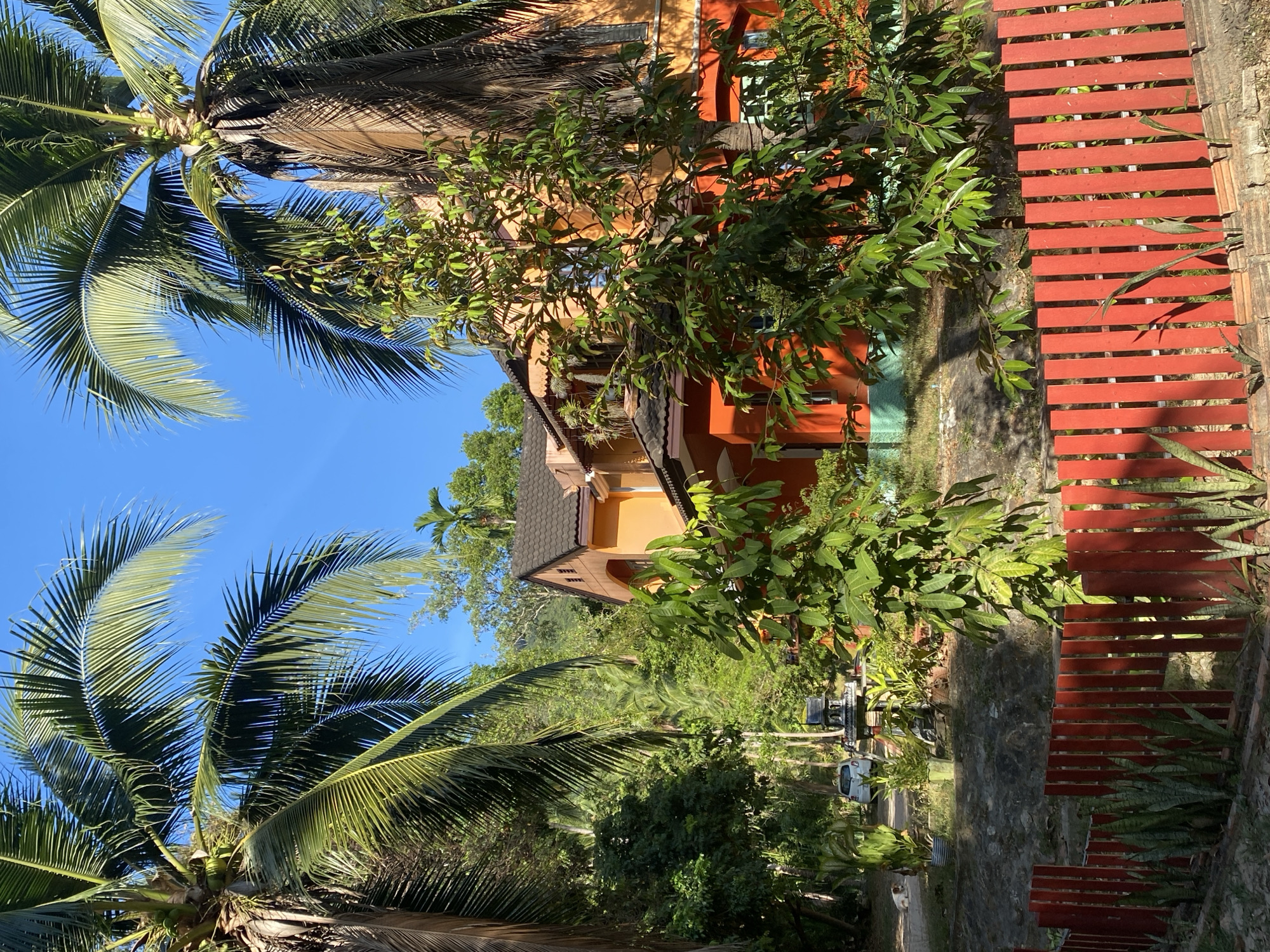 The image presents a vibrant tropical landscape, indicative of Baan Nai Suan, Thailand, bathed in bright daylight under a clear blue sky. The scene is lush with natural vegetation and features architectural elements.
In the foreground and left side, several tall palm trees with long, green fronds dominate the view, some clearly showing clusters of green coconuts near their crowns. Their foliage creates intricate patterns against the brilliant azure sky.
Towards the mid-ground and right, a building with warm-toned walls, primarily orange and yellow, stands partially visible. It features a dark, tiled roof and shows architectural details like windows and arched openings, suggesting a guesthouse or residential structure. Various other green trees and dense bushes surround and partially obscure the building, casting dappled shadows on its surfaces and the ground.
On the far right, a distinctive red slatted wooden pathway or set of stairs ascends, bordered by concrete and patches of lush green snake plants (Sansevieria). The ground throughout the visible area is a mix of natural earth, some paved sections, and concrete. In the background, nestled among the abundant greenery, a few vehicles, including a white pickup truck, are faintly discernible, suggesting a road or parking area. A small white cat is also visible near the vehicles in the lower left portion of the scene.
The bright sunlight and clear shadows indicate it is daytime. No people are visible, and no specific activity is taking place, contributing to a peaceful and serene atmosphere. There is no visible text in the image.