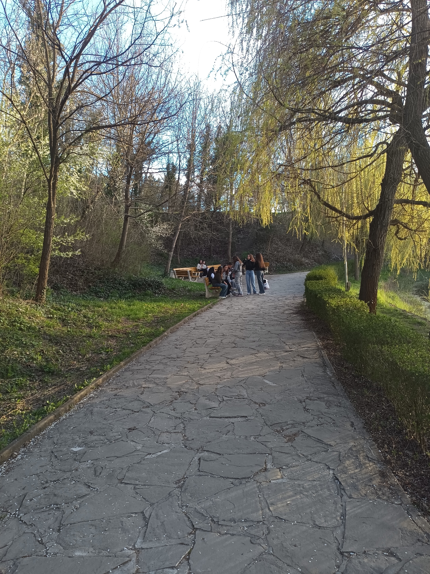 A paved path meanders through a park. On the left, a grassy slope leads up to trees, some bare and others in early leaf. Several wooden benches are situated alongside the path, where a group of young people are gathered, some sitting and others standing. To the right of the path is a trimmed hedge, beyond which stands a weeping willow tree. The path is made of irregular gray stones. The setting sun casts a warm glow on the right side of the path and the weeping willow. The scene is likely located in a park in Targovishte, Bulgaria.
