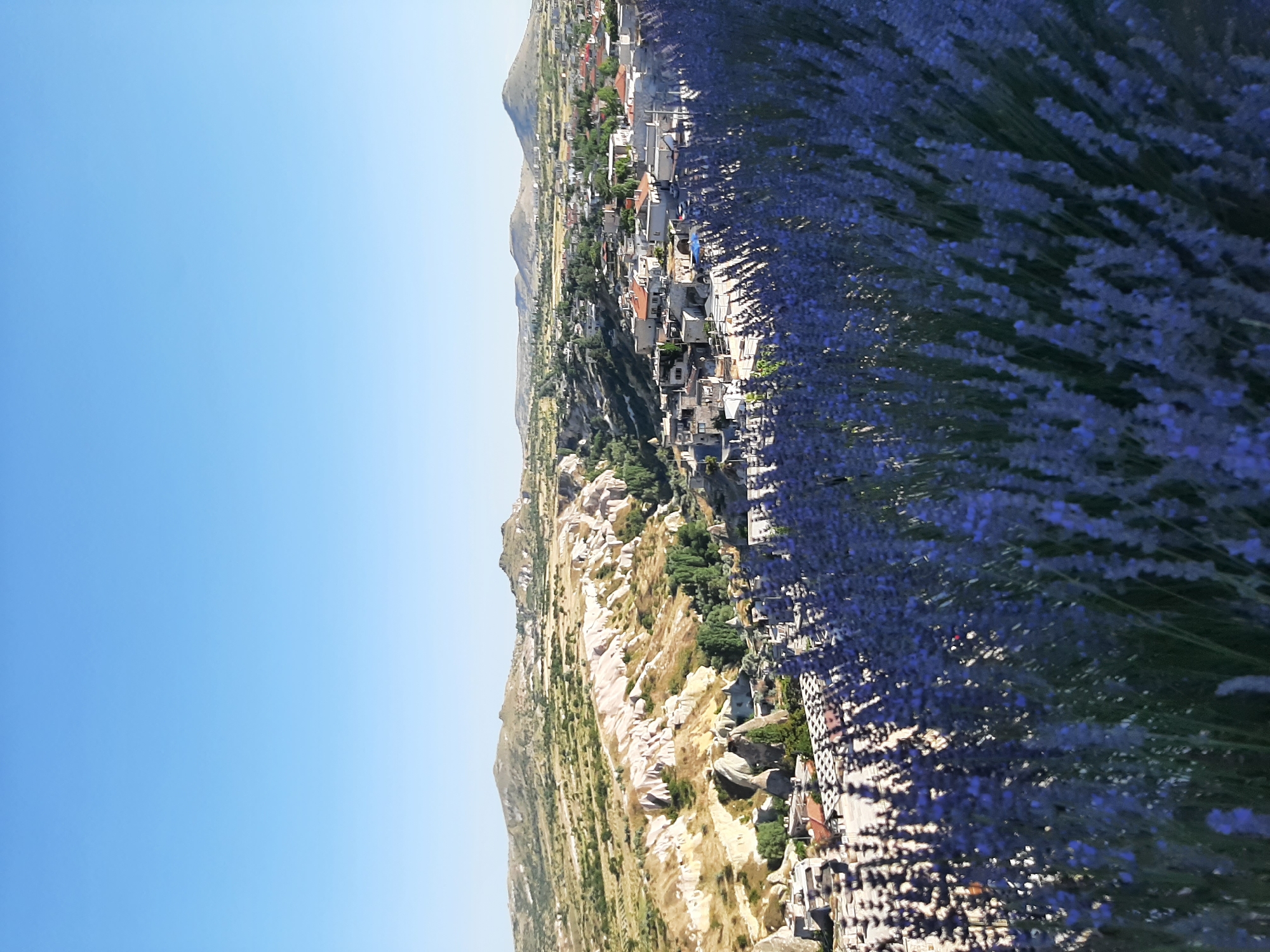 An outdoor, high-angle medium shot shows a view of Uçhisar Beldesi, Turkey, with lavender in the foreground. The sky is a clear, bright blue. The landscape features rolling hills and unique rock formations, characteristic of Cappadocia. A village with houses, many with red-tiled roofs, is nestled in the valley below. Lush green trees are scattered throughout the scene. The lavender flowers in the foreground are out of focus but their purple color is visible. There are no people visible in the image. The sun is shining, casting shadows. The overall impression is one of natural beauty and a picturesque village setting.