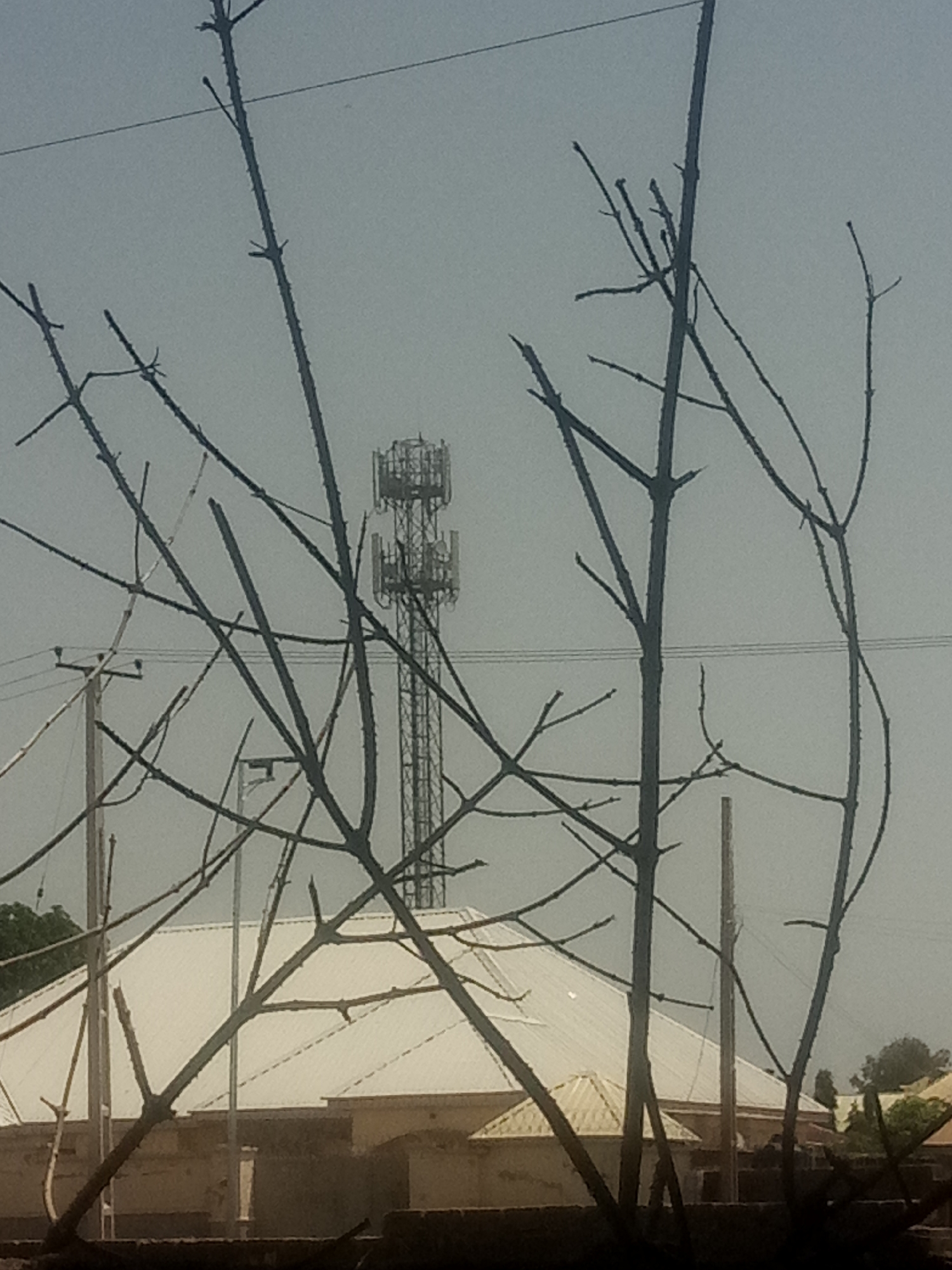 A telecommunications tower stands in the background of a silhouetted tree in the foreground. The tower is tall and metallic, with several levels of antennas. A power line runs horizontally across the sky behind the tree branches and in front of the tower. In the middle ground, a building with a white, gabled roof is visible. The sky is overcast and a pale gray. The scene appears to be in an urban or suburban environment.