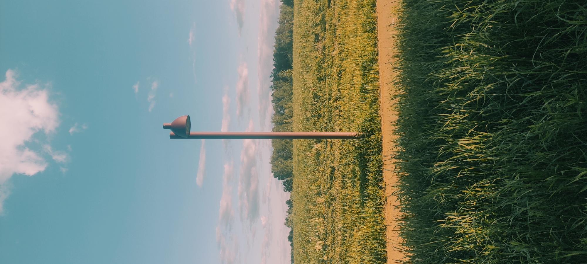 The image presents a landscape in Fryazino, Russia, featuring a brown metal structure resembling a stylized microphone or listening device, positioned horizontally. The sky above is a blend of light blue and scattered white clouds. The structure rests on a patch of green grass that leads to a dirt path; beyond that, a field of green and golden grass extends, ending with a line of trees in the background.