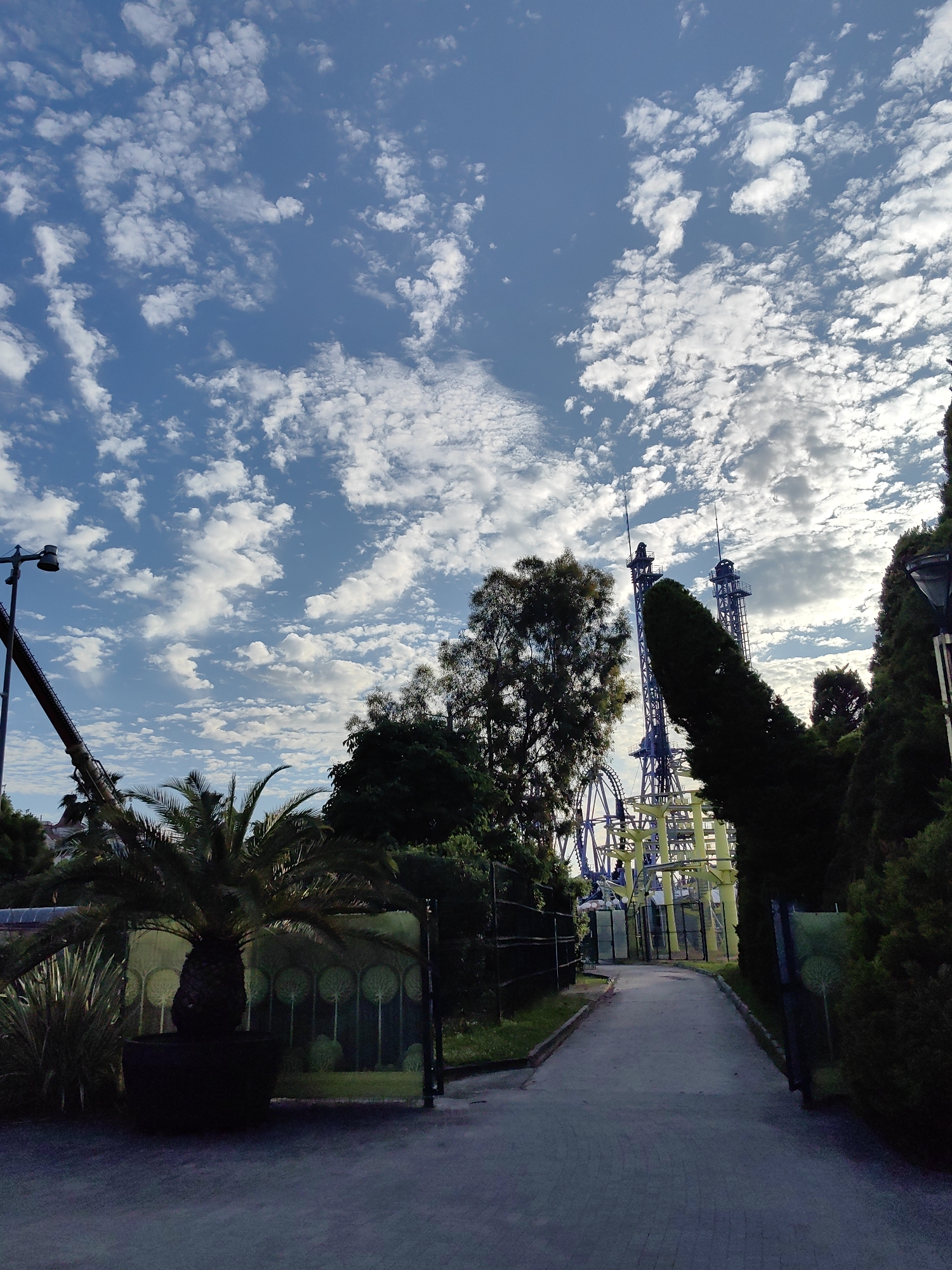 This is a wide-angle, low-angle outdoor shot of a theme park in Sirius, Russia, under a bright blue sky with scattered white clouds. The foreground features a paved pathway leading towards the right, flanked by dense green foliage and trees. To the left, a large potted palm tree is visible in the midground, with a dark, textured trunk and feathery fronds. Behind the palm tree, a large, dark-colored object with a curved structure, possibly part of a ride, is partially obscured by trees.
In the background, a towering roller coaster structure dominates the scene. The roller coaster is primarily yellow and blue, with intricate metal supports and track sections visible. Two tall, dark blue towers, each topped with a pointed structure, rise behind the roller coaster. The sky above is a vibrant blue, with numerous small, fluffy white clouds spread across it, creating a dynamic and textured ceiling to the scene. The overall impression is one of a sunny day at an amusement park, with the natural elements of the sky and greenery contrasting with the man-made thrill rides.