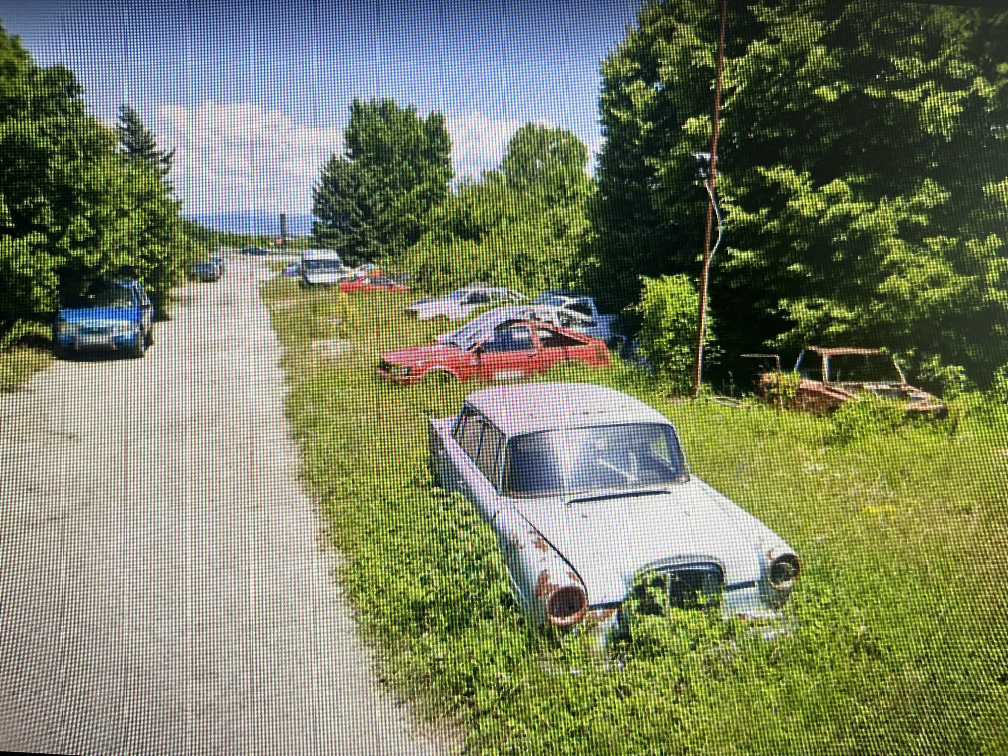 The image depicts an outdoor scene of a car graveyard or junkyard, characterized by numerous abandoned and decaying vehicles surrounded by overgrown vegetation, likely in Varna, Bulgaria.
In the foreground, a light blue or grey vintage sedan is prominently featured, partially engulfed by tall, green grass and showing significant rust, particularly around its front bumper and headlight areas. Its interior appears empty, and the car faces slightly towards the left. To the left of this car, a narrow, paved road stretches into the distance, with a modern blue car parked on its edge in the mid-ground.
Further into the overgrown field, a red, sports car-like vehicle with a damaged front is visible, also surrounded by dense greenery. Scattered throughout the mid-ground and background are several other derelict vehicles of various types and states of decay, including rust-colored frames, a white van, and other indistinct car bodies that are largely obscured by bushes and tall grass. One particularly rusty vehicle with an open roof structure is visible on the far right.
The entire area is heavily vegetated with lush green grass, bushes, and numerous trees forming a dense backdrop and side borders to the field. A tall, thin pole, possibly for a utility line or camera, stands upright on the right side of the image.
The scene is bathed in bright daylight under a clear blue sky with some scattered white clouds, suggesting a sunny day, likely midday. In the far distance, a slender, dark structure, possibly a tower or chimney, can be faintly seen against the sky. No people or discernible text are visible in the image. The overall impression is one of abandonment, natural reclamation, and the slow decay of human artifacts.