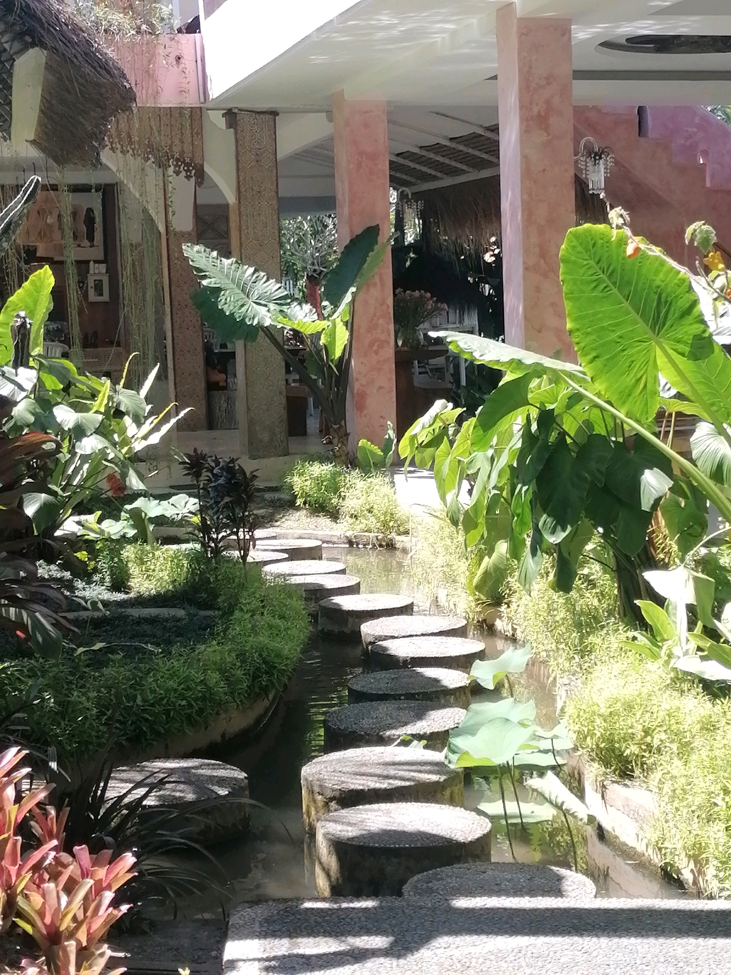The image shows a pathway of stepping stones across a narrow, shallow stream in a lush, tropical setting, likely a resort or garden in Ubud, Indonesia. The stepping stones are round and grey, with rough surfaces, and are positioned in a zig-zag pattern. The stream is clear and reflects the surrounding greenery.
On the left side of the stream, there are various plants, including large-leafed tropical plants with vibrant red and green foliage, and smaller green ground cover. Tall, thin stalks of dark green plants are also visible.
On the right side of the stream, more greenery is present, including dense, light green bushes and large, elephant-ear-like leaves of a tropical plant reaching towards the top right of the frame. Some lotus leaves float on the water.
In the background, architectural elements suggest an open-air structure with pink-toned plastered pillars, a thatched roof overhang, and intricate carvings on pillars. The overall impression is one of a serene and well-maintained outdoor space. There are no people visible in the image. The lighting indicates it is daytime, with sunlight casting shadows.