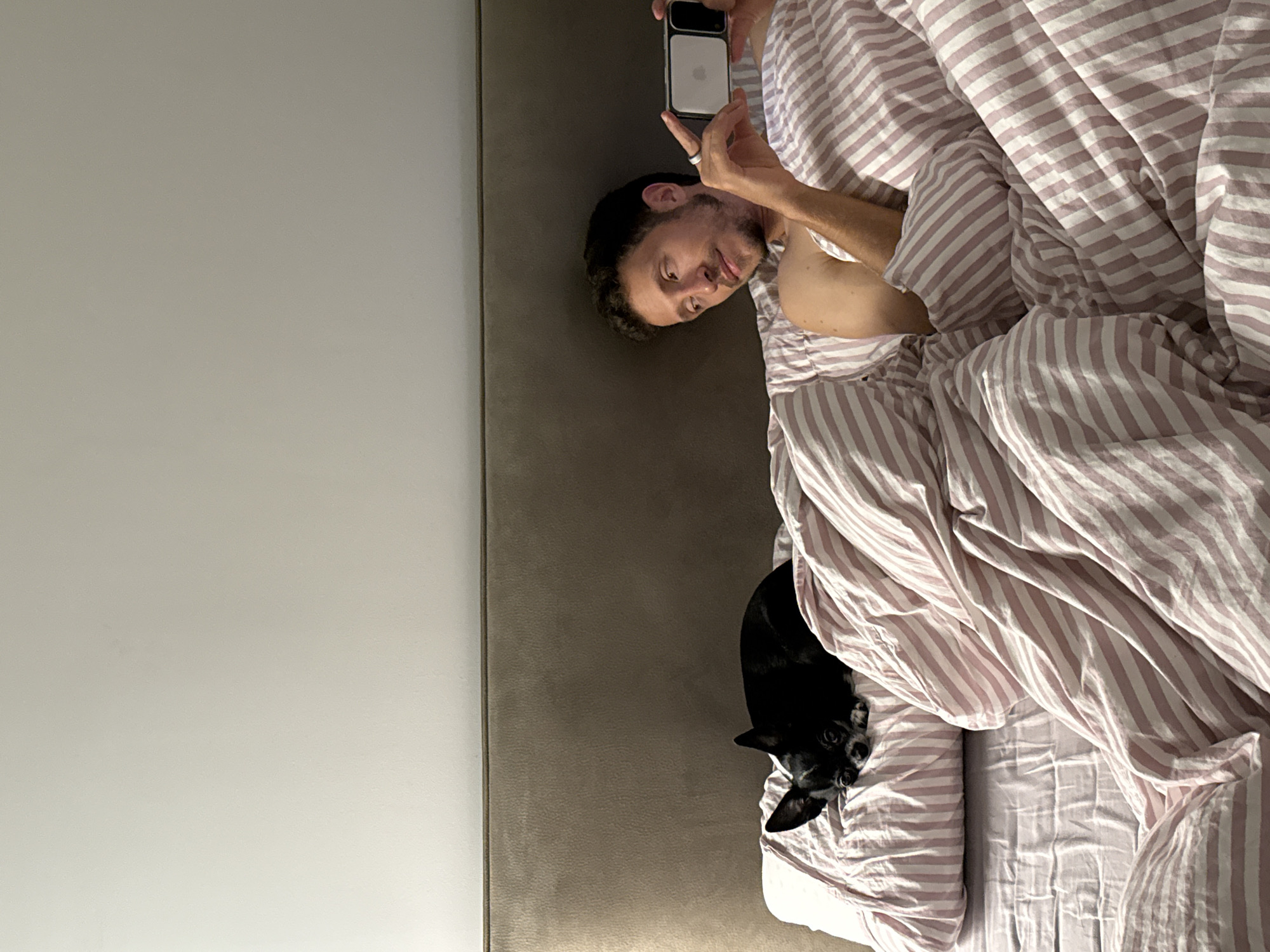 This image captures an indoor scene in Tel-Aviv, Israel, featuring one adult male and a small dog in a bed. The man is positioned on the right side of the bed, partially covered by a duvet featuring pink and white vertical stripes. He possesses short, dark hair and a beard. He holds a white smartphone horizontally in his left hand, which is encased in a clear cover, revealing an Apple logo on the back. His right index finger is positioned near the phone's screen, and he wears a ring on this finger. The man's gaze is directed slightly to his left (viewer's right), away from the smartphone. To the man's left, a small, black dog, consistent with a chihuahua, rests on a striped pillow matching the duvet. The dog has short black fur with white markings on its paws and chest. The bed is equipped with a light brown upholstered headboard, situated against a plain, light-colored wall. The fitted sheet on the bed is a light purple or greyish-pink. The lighting in the room is moderate.